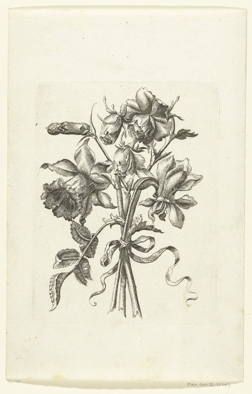 Tre blommor, inklusive en påsklilja och en nejlika Novae Florum Icones (serietitel) av Anonymous