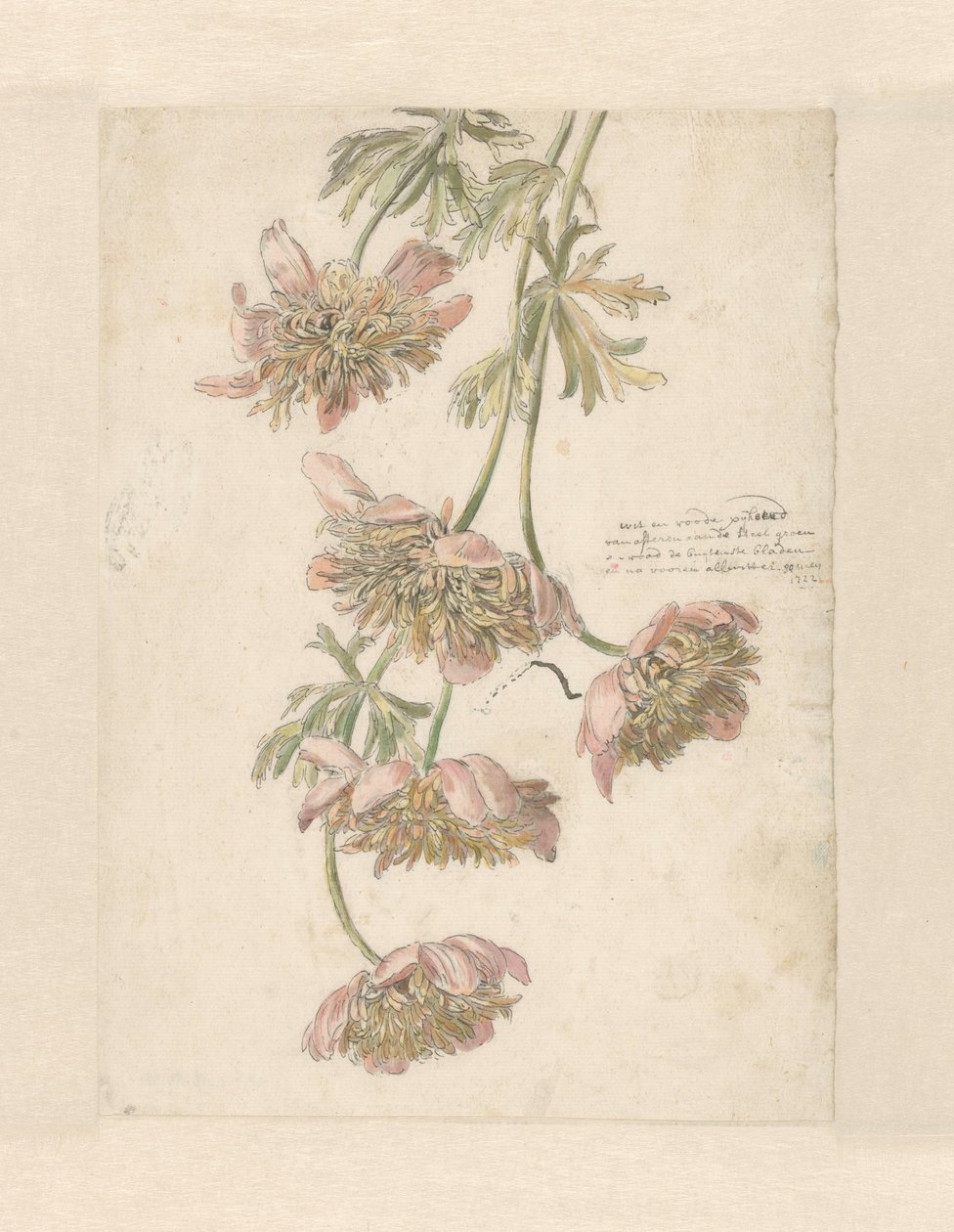 Tre grenar med blommor vitt och rött (...) (titel på objekt) av Anonymous