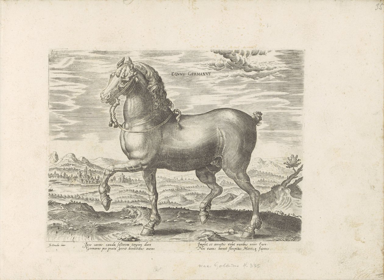 Duits paard Tysk häst (titel på objekt) Paardenrassen uit de Koninklijke stallen van Don Juan van Oostenrijk (serietitel) Hästen, där alla typer av adelsmän: beteendet hos hästar som skiljer sig från olika delar av världen utvalda (...) (serietitel på ob av Anonymous