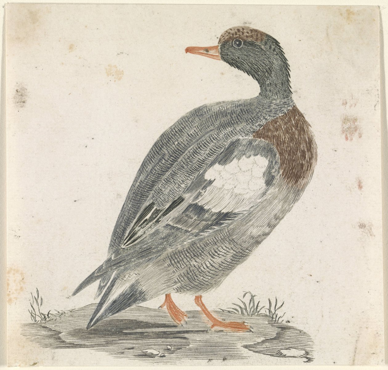 Ducka till höger, titta till vänster av Anonymous
