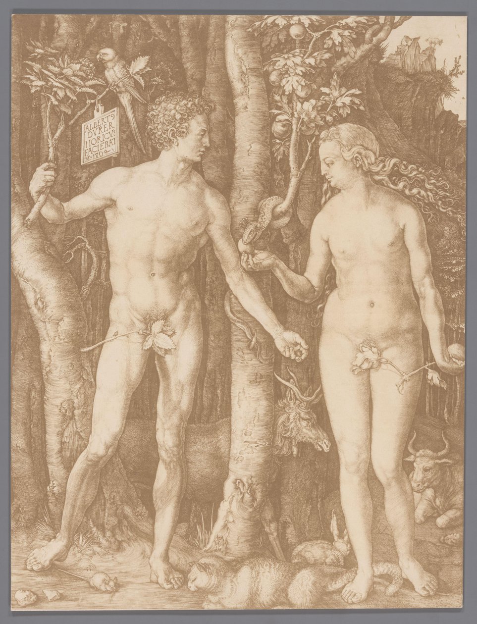 Fotoreproduktion av gravyren Adam och Eva av Albrecht Dürer av Anonymous