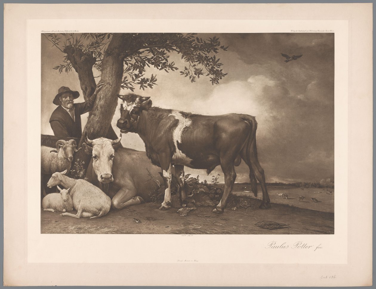 Fotoreproduktion av målningen Tjuren av Paulus Potter, koll. Mauritshuis 1904 - Nej. 54. / Konigl. Museum i Haag (serietitel) av Anonymous