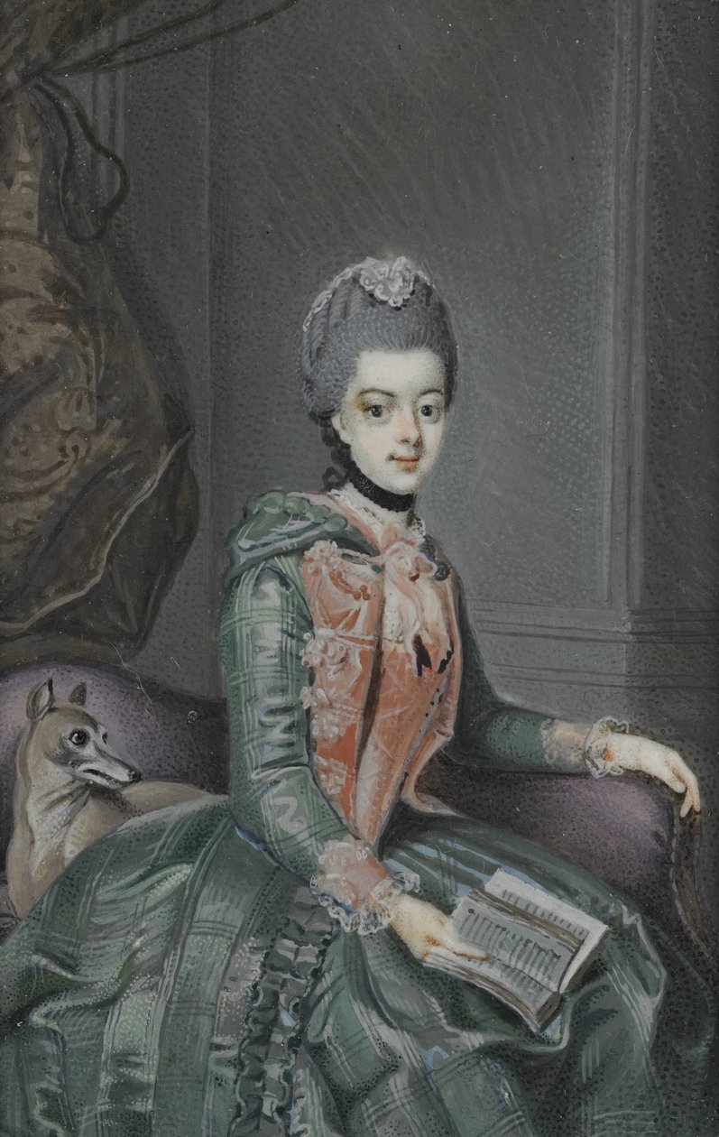 Frederika Sophia Wilhelmina (1751-1820), prinsessa av Preussen. Fru till prins William V av Anonymous