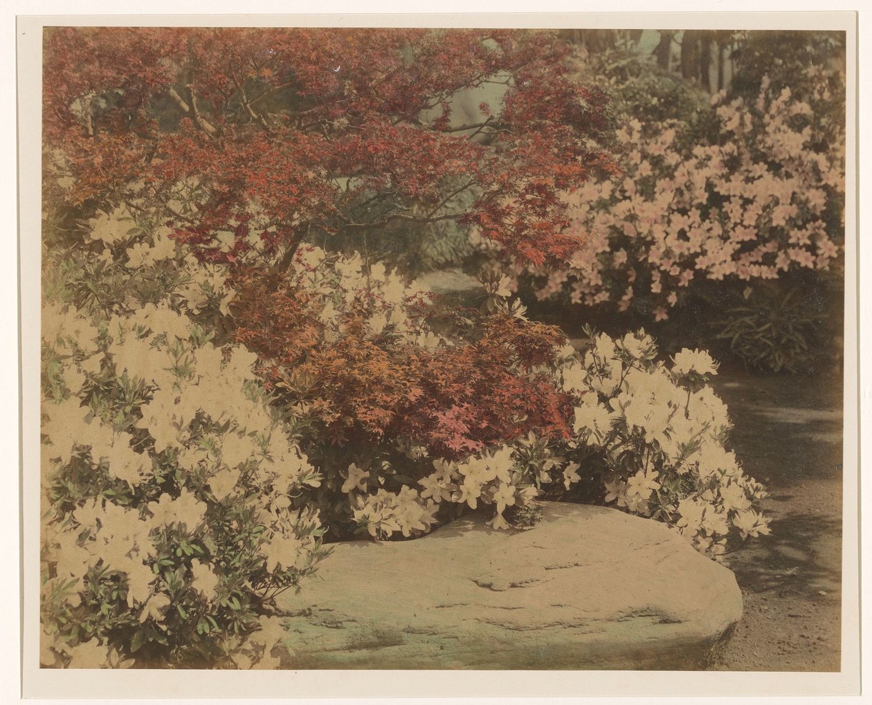 Japansk trädgård med blommor av Anonymous