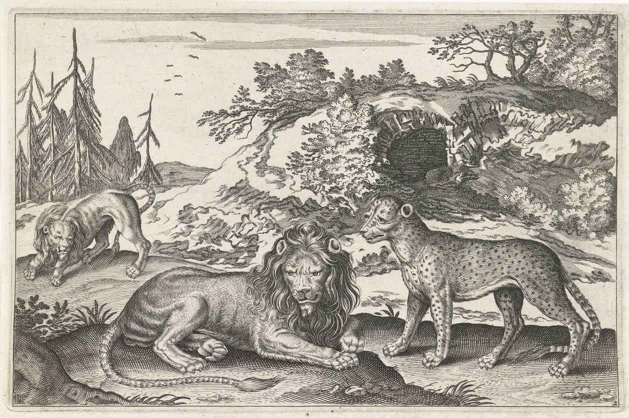 Lejon och leopard Fyrbenta djur (serietitel) Animalivm Qvaddrvpedvm (serietitel) av Anonymous