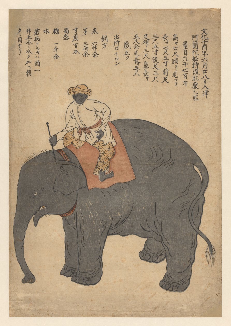 Elefant kom med ett holländskt skepp 1813 av Anonymous