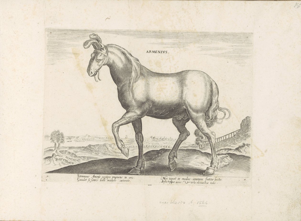Paard uit Armenië Armenius (titel på objekt) Paardenrassen uit de Koninklijke stallen van Don Juan van Oostenrijk (serietitel) Hästen, där alla typer av adelsmän: beteendet hos hästar som skiljer sig från olika delar av världen utvalda (...) (serietitel på av Anonymous