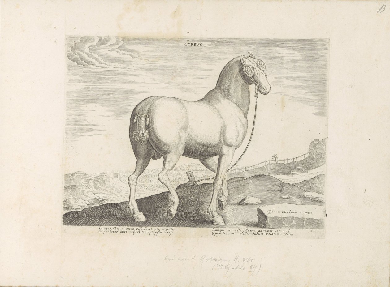 En häst från Korsika Hjärta (titel på objekt) Paardenrassen uit de Koninklijke stallen van Don Juan van Oostenrijk (serietitel) Hästen, där alla typer av adelsmän: beteendet hos hästar som skiljer sig från olika delar av världen utvalda (...) (serietitel p av Anonymous
