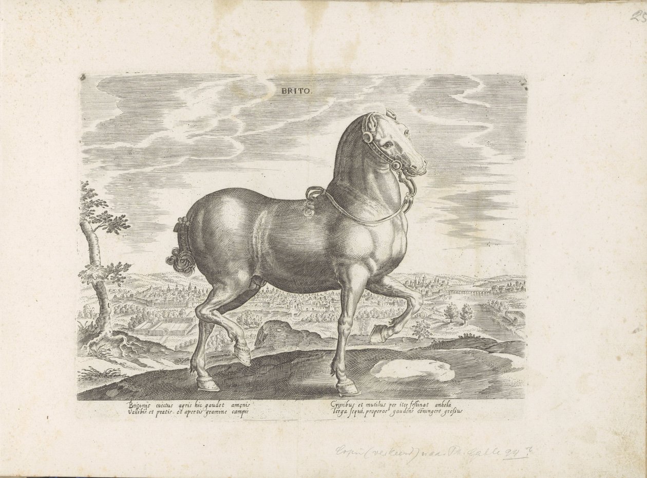 Paard uit Engeland Brito (titel på objekt) Paardenrassen uit de Koninklijke stallen van Don Juan van Oostenrijk (serietitel) Hästen, där alla typer av adelsmän: beteendet hos hästar som skiljer sig från olika delar av världen utvalda (...) (serietitel på o av Anonymous