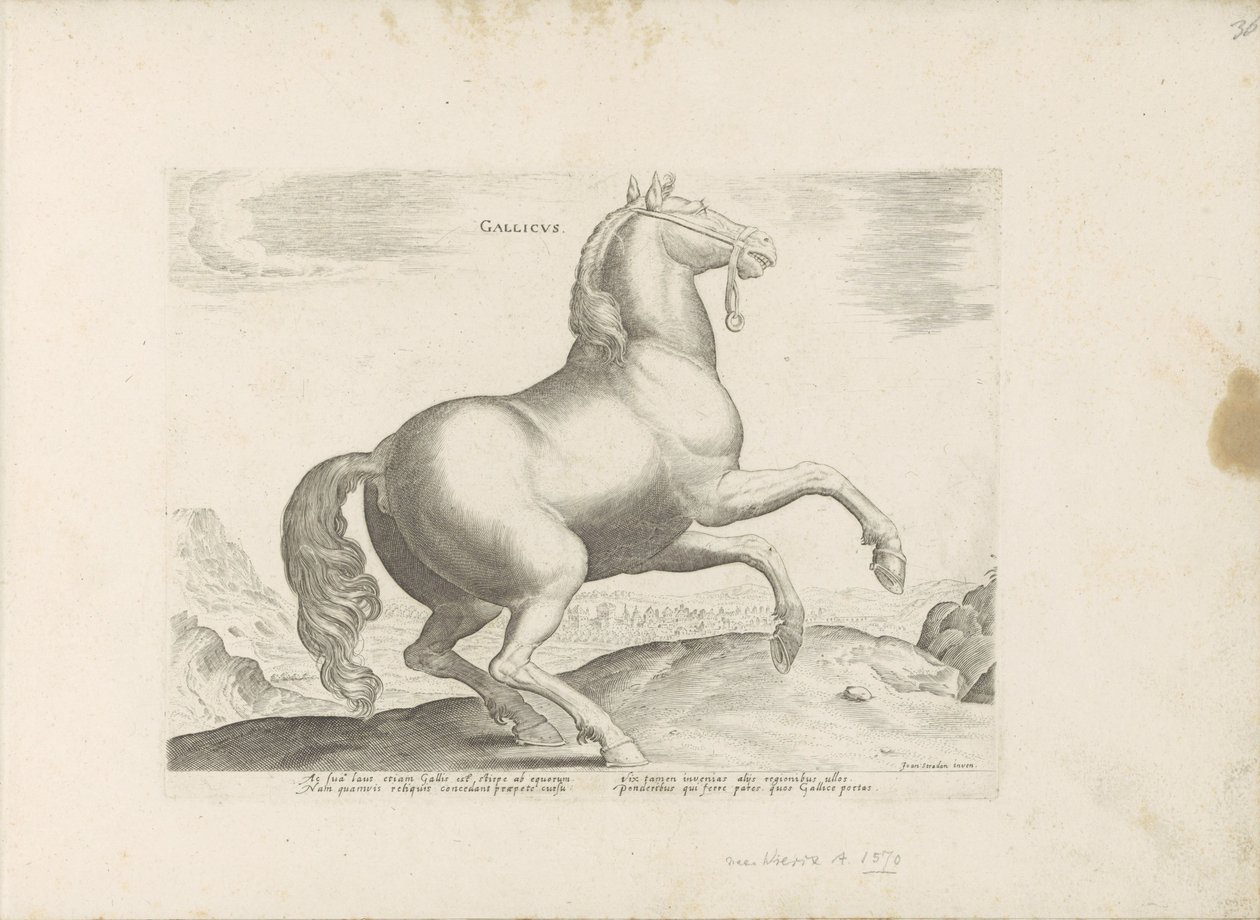 Paard ut Frankrike Franska (titel på objekt) Paardenrassen uit de Koninklijke stallen van Don Juan van Oostenrijk (serietitel) Hästen, där alla typer av adelsmän: beteendet hos hästar som skiljer sig från olika delar av världen utvalda (...) (serietitel på av Anonymous
