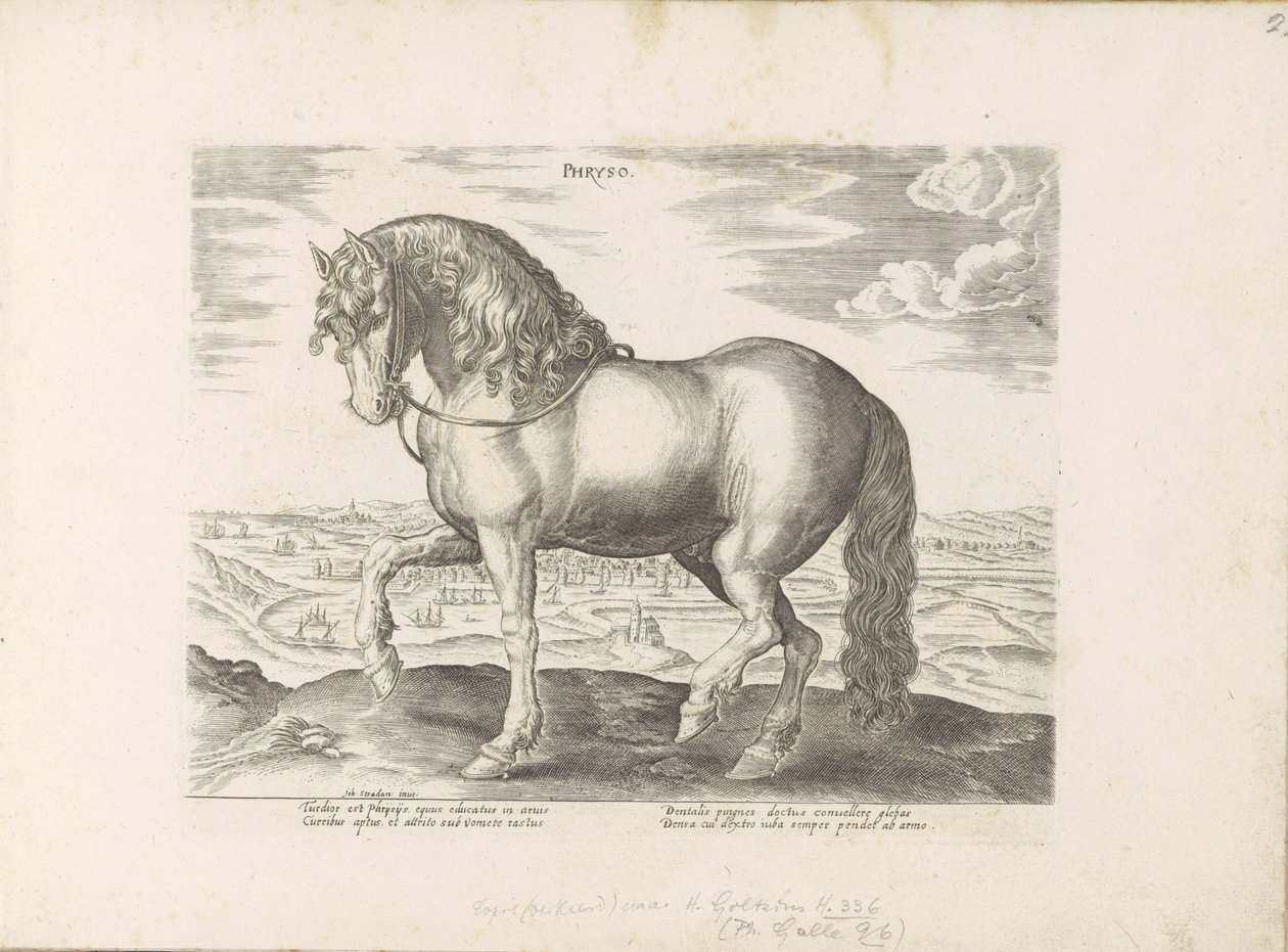 Paard ut Friesland Phryso (titel på objekt) Paardenrassen uit de Koninklijke stallen van Don Juan van Oostenrijk (serietitel) Hästen, där alla typer av adelsmän: beteendet hos hästar som skiljer sig från olika delar av världen utvalda (...) (serietitel på  av Anonymous