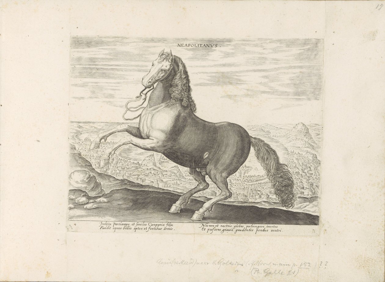 Paard ut Neapel napolitansk (titel på objekt) Paardenrassen uit de Koninklijke stallen van Don Juan van Oostenrijk (serietitel) Hästen, där alla typer av adelsmän: beteendet hos hästar som skiljer sig från olika delar av världen utvalda (...) (serietitel p av Anonymous