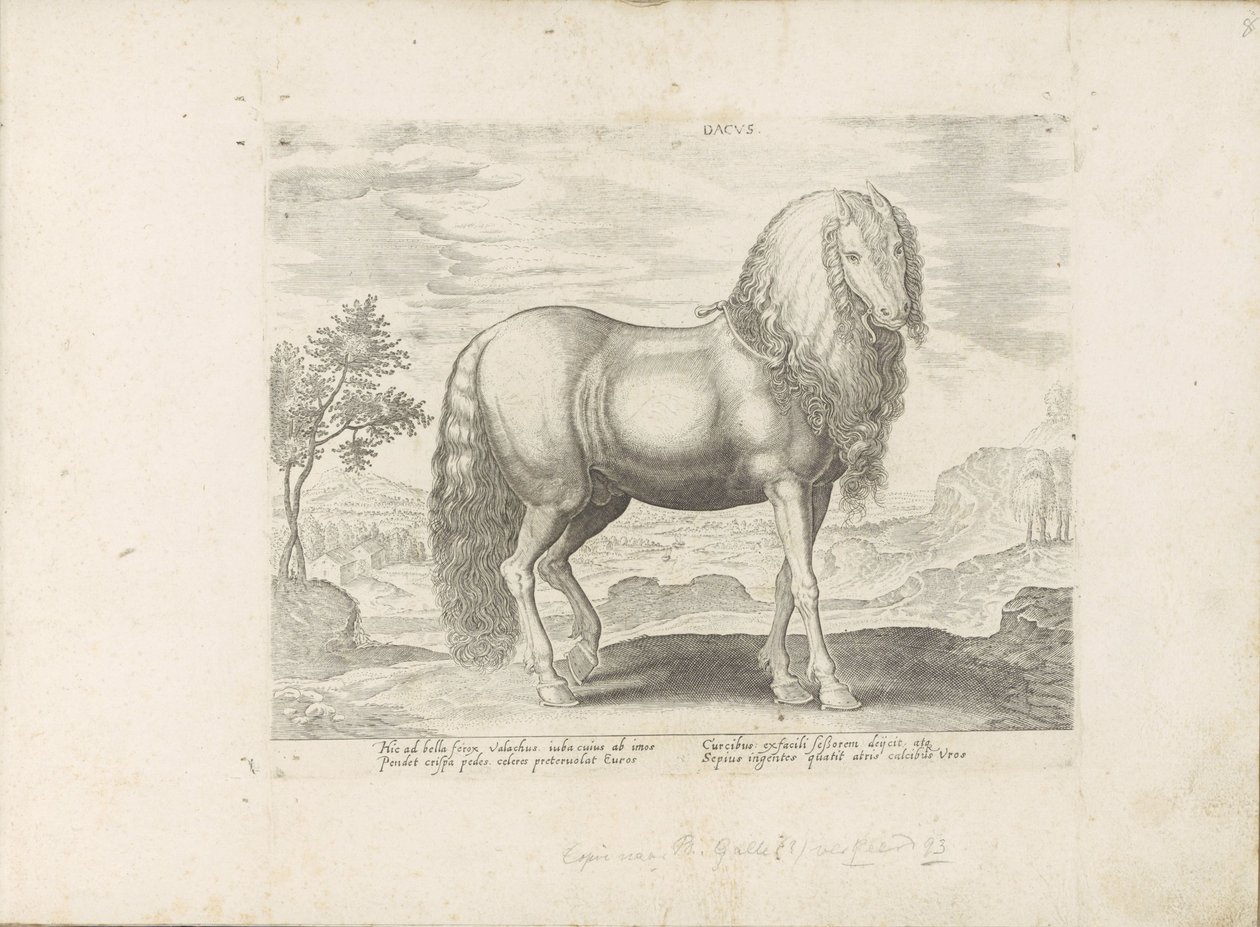 Paard uit Roemenië (nederländska) Dacus (titel på objekt) Paardenrassen uit de Koninklijke stallen van Don Juan van Oostenrijk (serietitel) Hästen, där alla typer av adelsmän: beteendet hos hästar som skiljer sig från olika delar av världen utvalda (...) ( av Anonymous