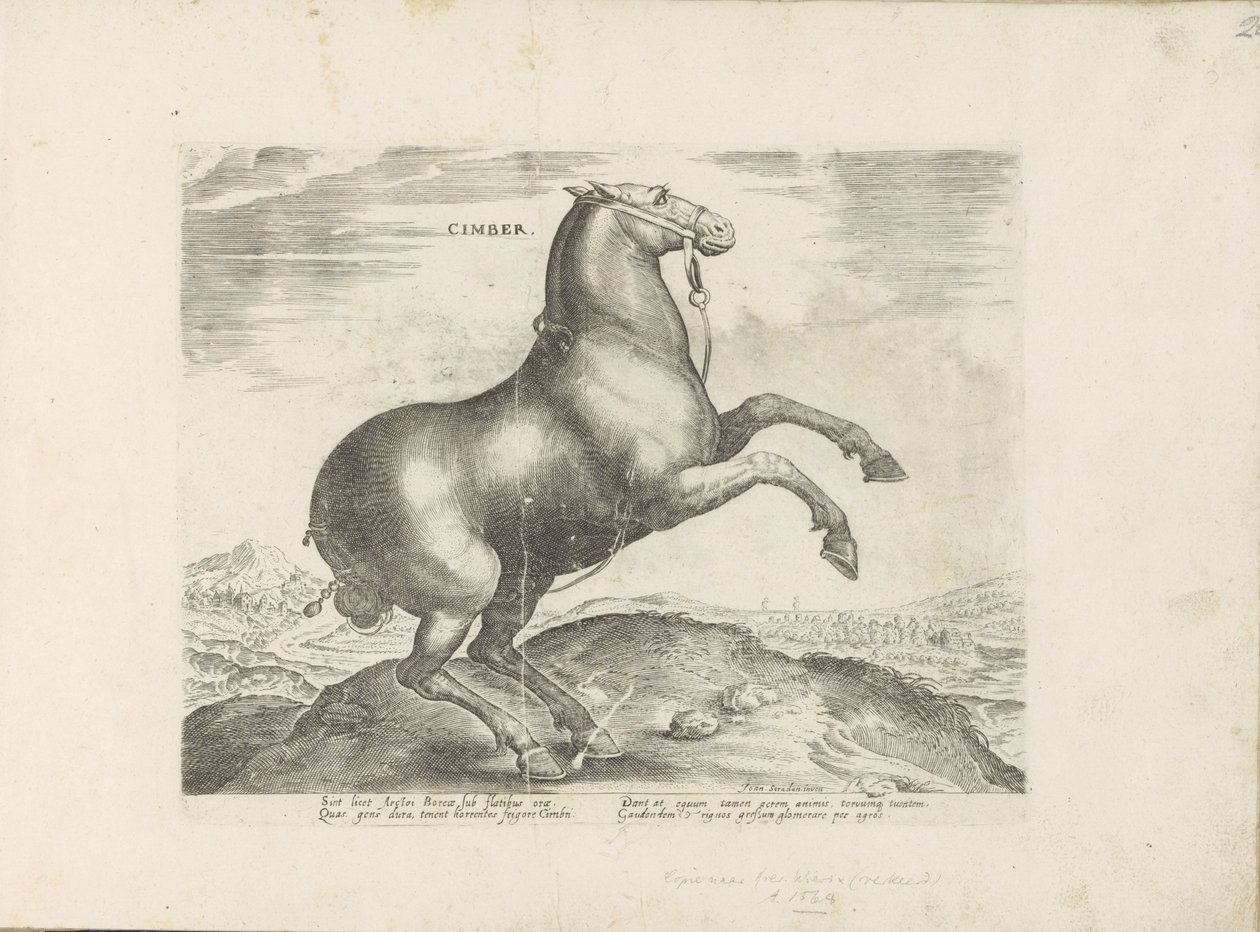 Paard uit Scythia Cimber (titel på objekt) Paardenrassen uit de Koninklijke stallen van Don Juan van Oostenrijk (serietitel) Hästen, där alla typer av adelsmän: beteendet hos hästar som skiljer sig från olika delar av världen utvalda (...) (serietitel på o av Anonymous