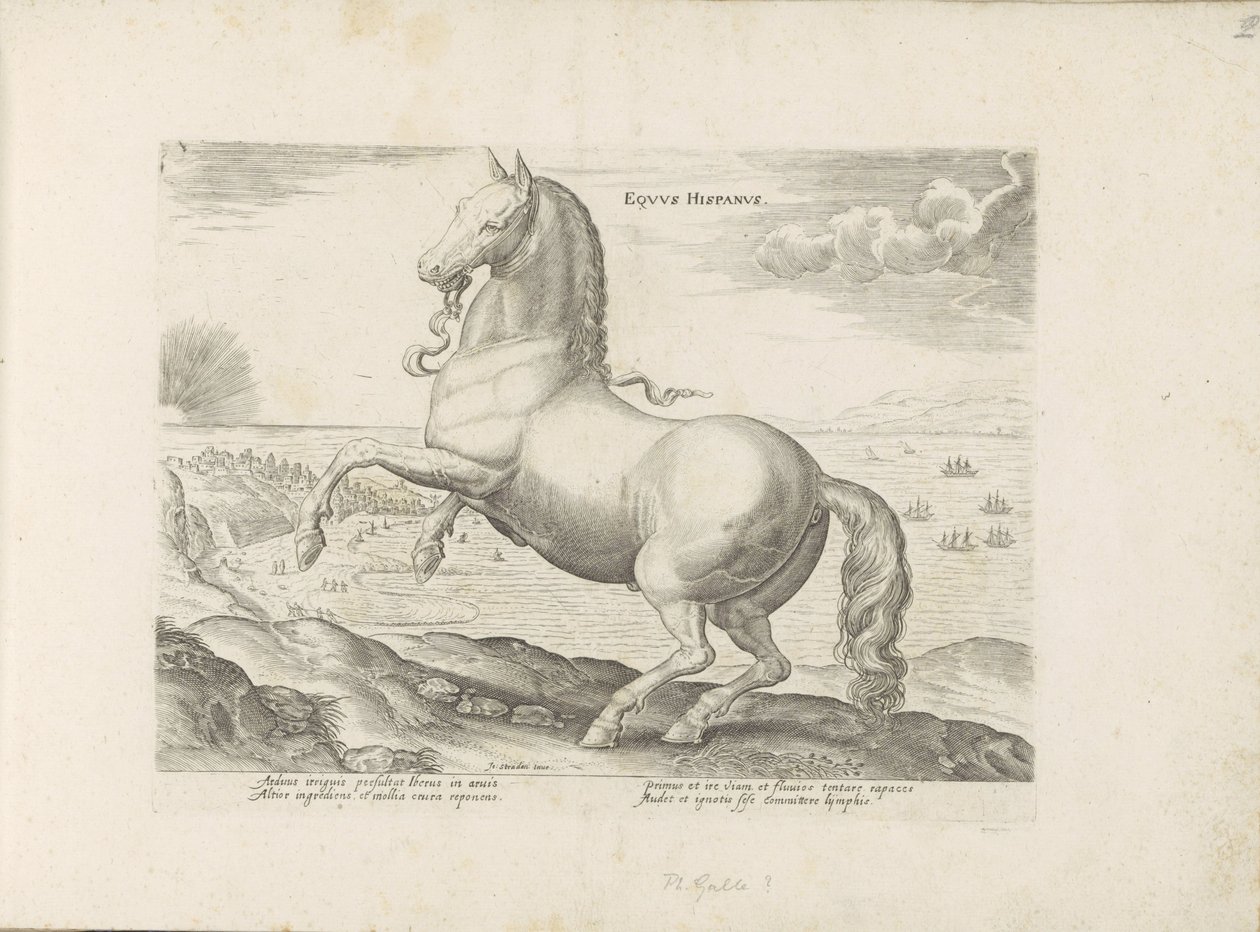 Paard ut Spanien Spansk häst (titel på objekt) Paardenrassen uit de Koninklijke stallen van Don Juan van Oostenrijk (serietitel) Hästen, där alla typer av adelsmän: sätten för hästar som skiljer sig från olika delar av världen utvalda (...) (serietitel av Anonymous