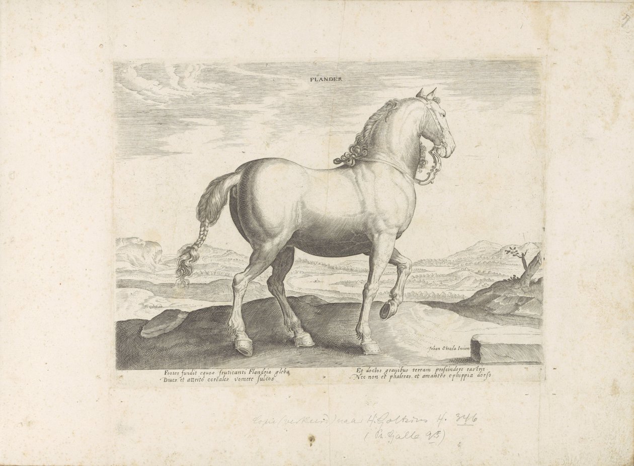 Paard uit Vlaanderen Flandern (titel på objekt) Paardenrassen uit de Koninklijke stallen van Don Juan van Oostenrijk (serietitel) Hästen, där alla typer av adelsmän: beteendet hos hästar som skiljer sig från olika delar av världen utvalda (...) (serietitel av Anonymous
