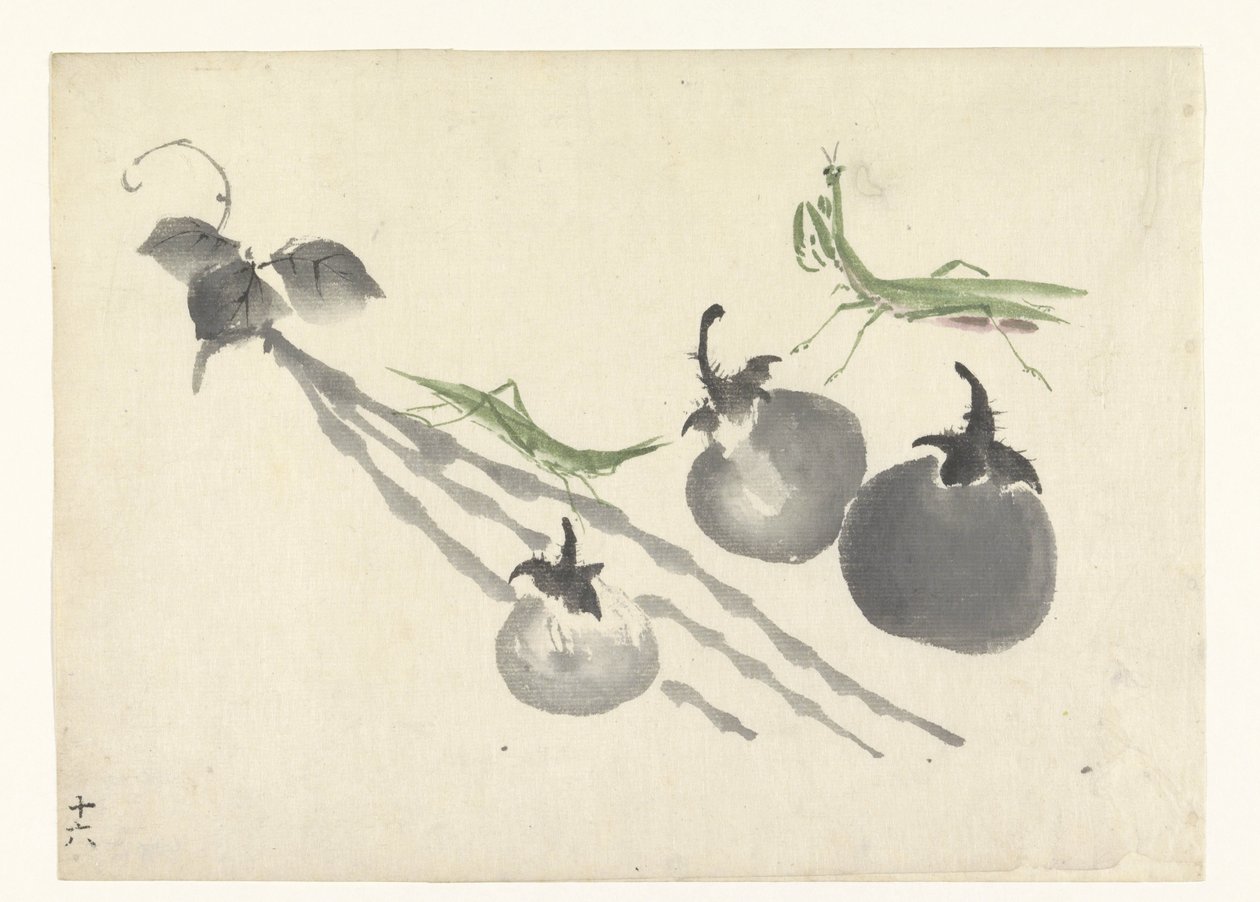 Gräshoppor på tre persimmons av Anonymous