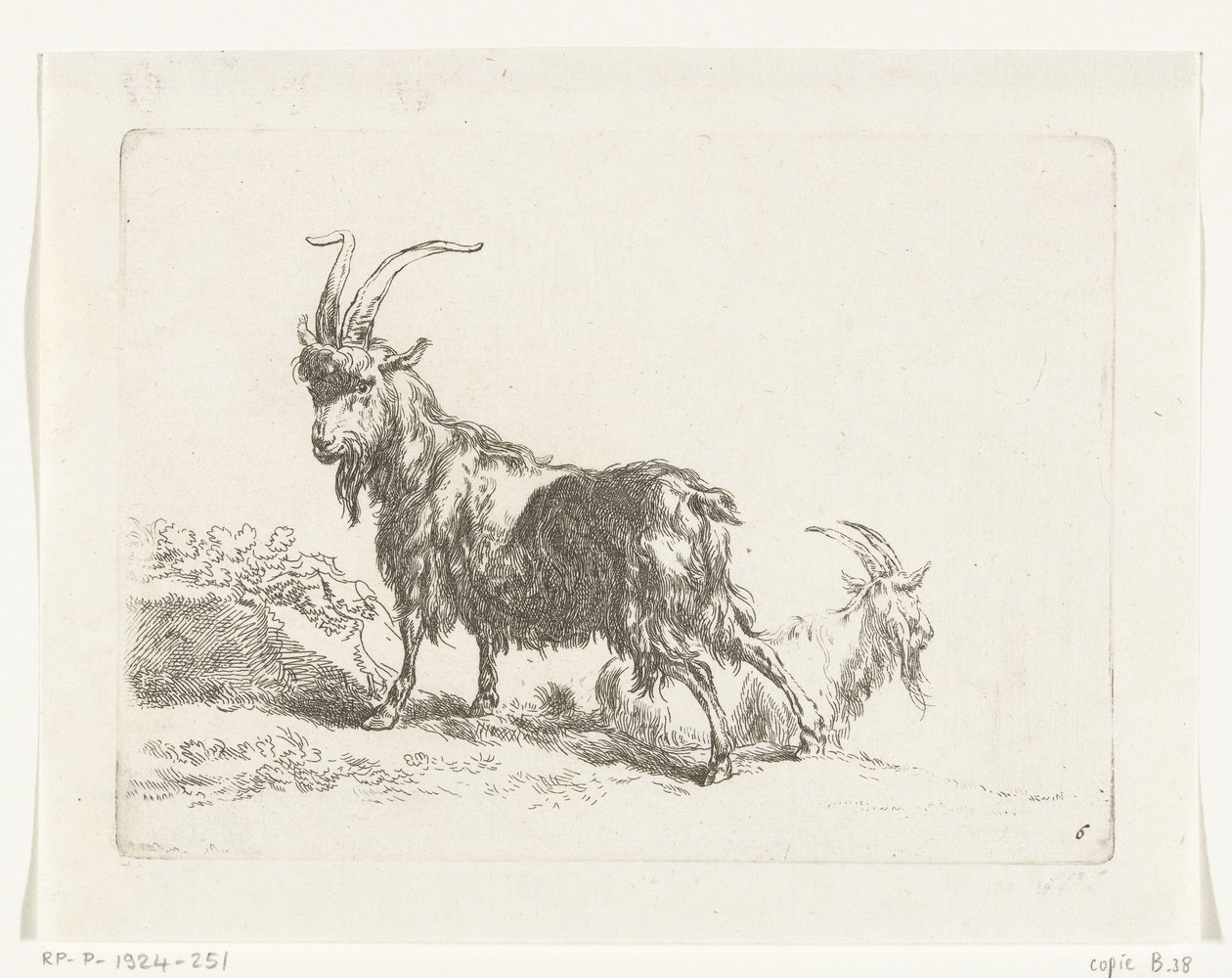 Stående och liggande get eller bock Getter och får till N.P. Berchem (serietitel) av Anonymous