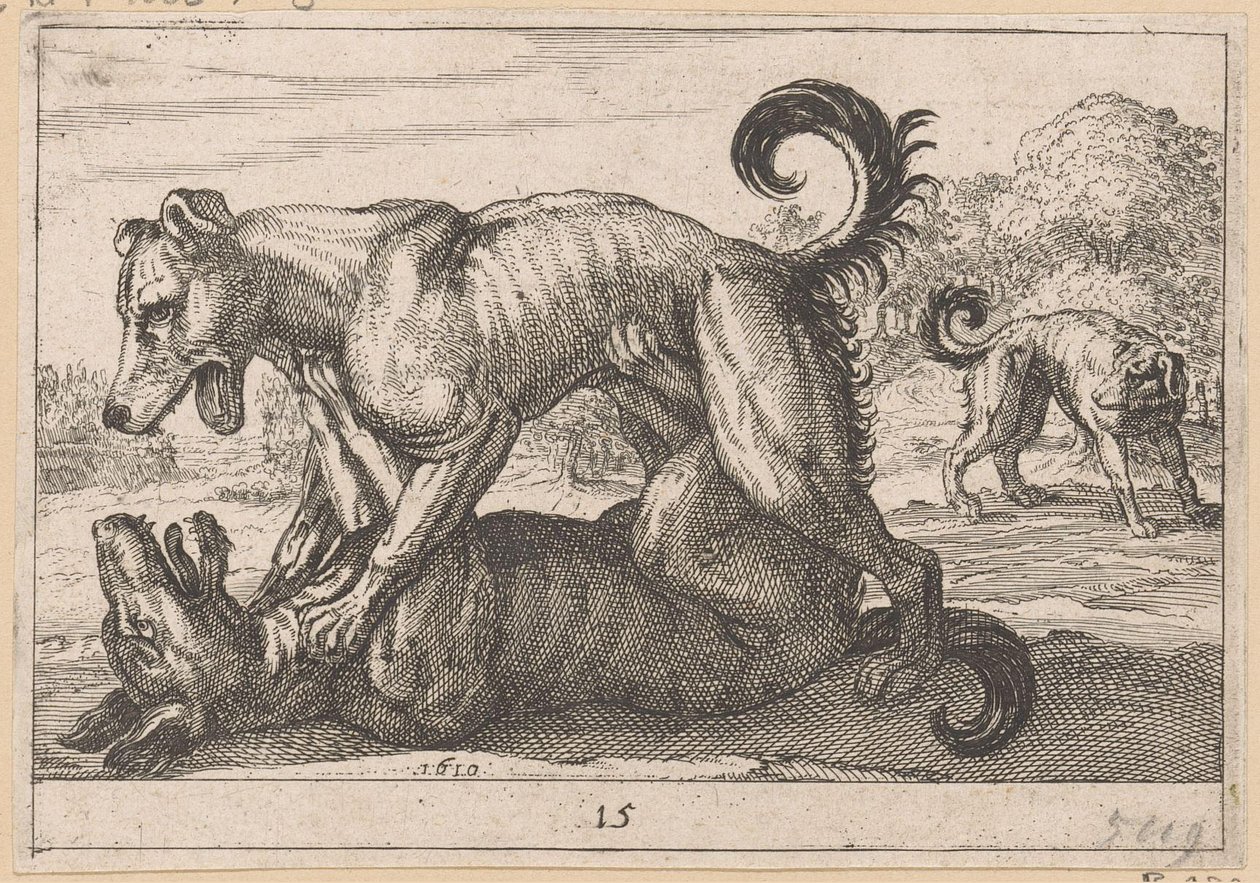 Två parnings- och två kamphundar Fighting Animals (kopior) (serietitel) av Anonymous