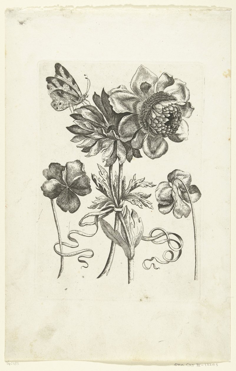 Fyra blommor, varav två violer Novae Florum Icones (serietitel) av Anonymous