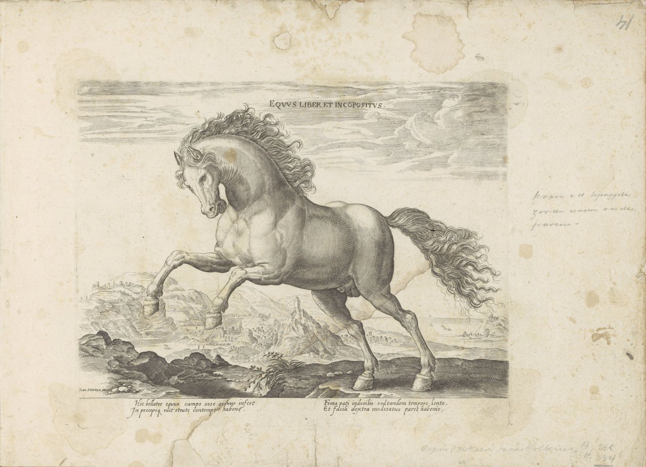 Vildhäst Equus Liber et Incopositus (titel på objekt) Hästen, där alla typer av adelsmän: beteendet hos hästar som skiljer sig från olika delar av världen utvalda (...) (serietitel på objekt) av Anonymous