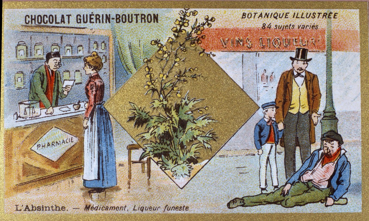 Absint: medicin och dödlig likör. Gravyr (kromo). Reklamkromolitografi för Guerin-Boutron-choklad, sent 1800-tal. Illustree Botanical Series. av Anonymous Anonymous