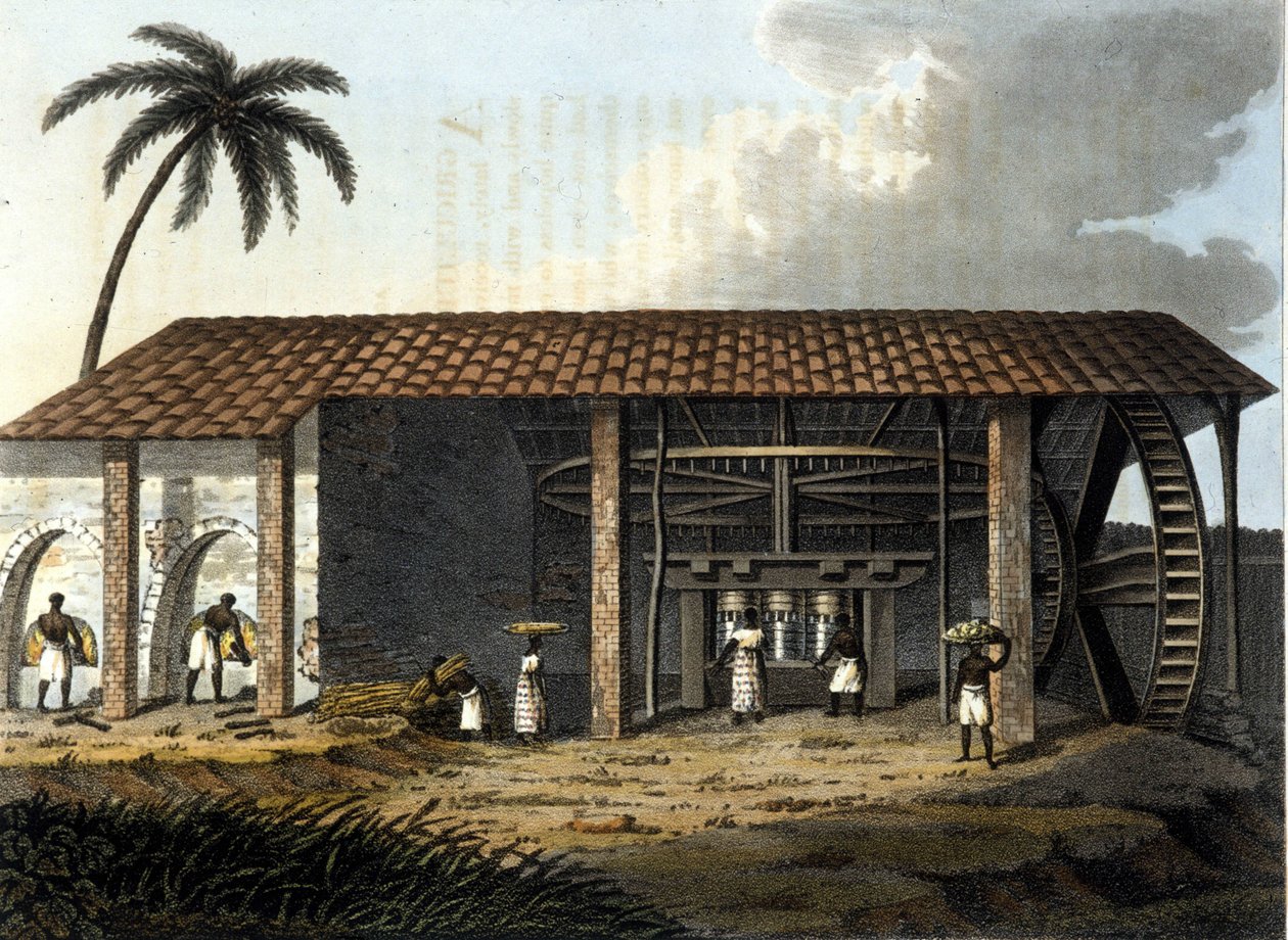 Brasilien, sockerfabrik - i "" The Old and Modern Costume"" 1819 - 1820 av Dr Jules Ferrario, ed Milan. av Anonymous Anonymous