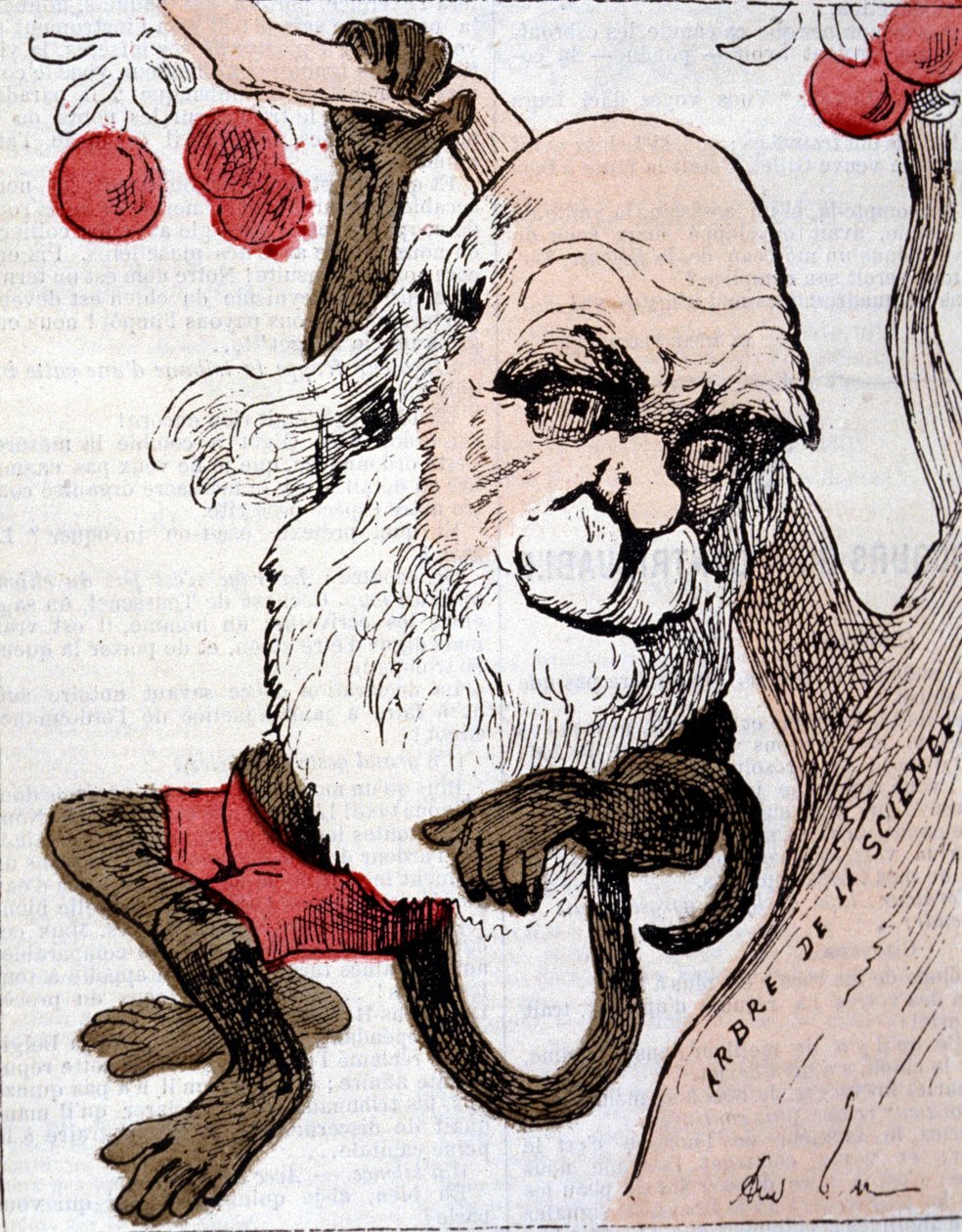Karikatyr av Charles Robert Darwin (1809 - 1882) i ""La Lune"" av Anonymous Anonymous