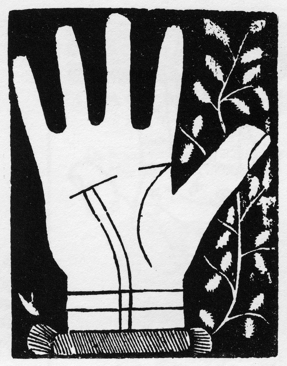 Chiromancia - Dubbel sollinje som bryter mot mitten - Gravyr 1545 i "The Art of Chyromance"" av Andre Corvo - Privat samling av Anonymous Anonymous