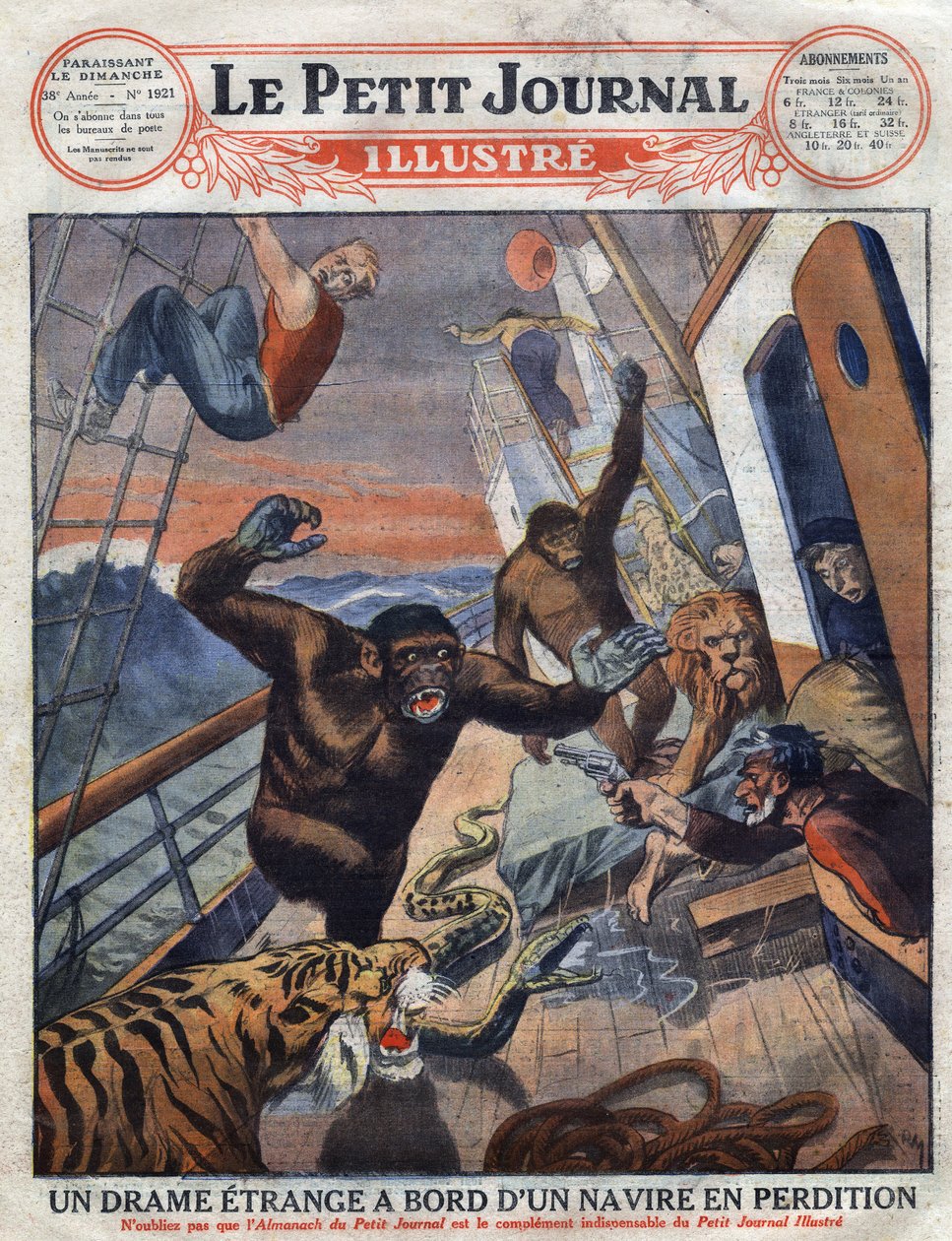 Drama om det franska linjefartyget "" Saint Etienne"": gorillor, tiger, lejon och orm avsedda för engelska zoologiska trädgårdar flydde från sin bur och attackerade besättningsmedlemmarna. "" Gravyr. En av "The Little Journal Illustrates" av Anonymous Anonymous