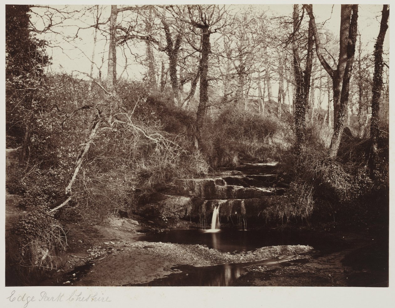 Edge Park, Cheshire, ca 1865 (albumenutskrift från glasnegativ) av Anonymous Anonymous