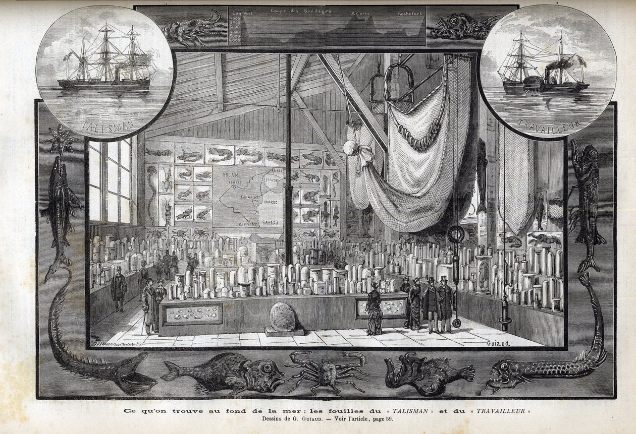 Utställning på naturhistoriska museet i Paris av samlingarna som bildades under kryssningarna - Arbetarens och talismanens vetenskapliga expeditioner under åren 1880 av Anonymous Anonymous
