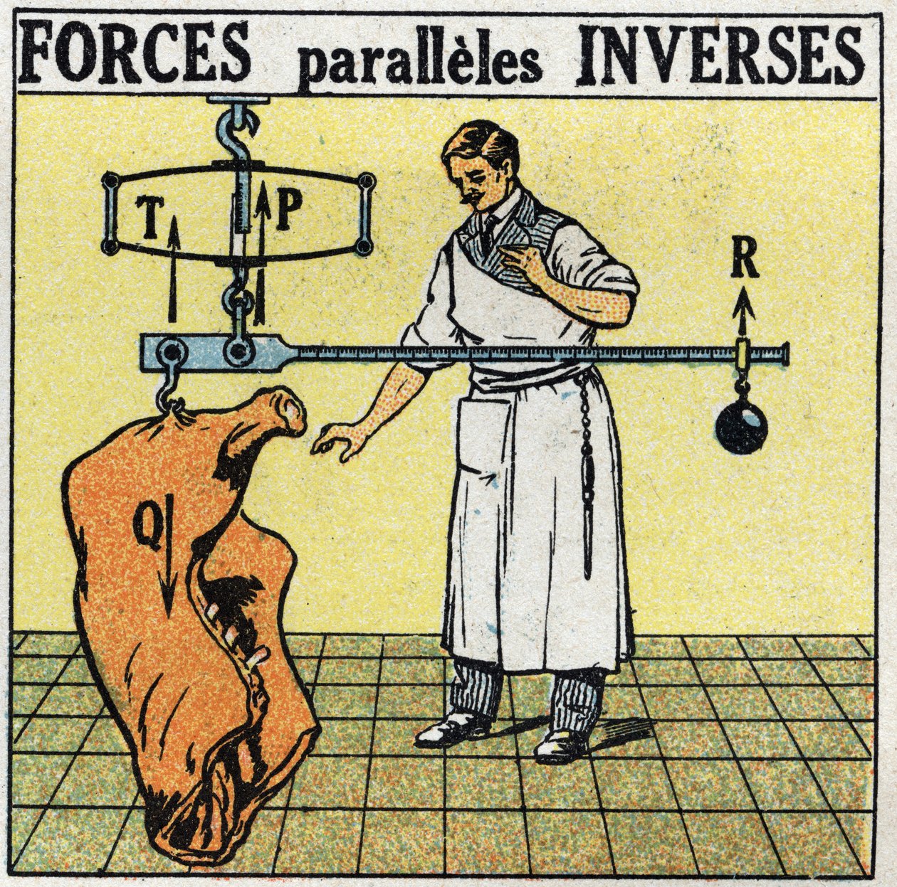 Krafter: vända parallella krafter. En slaktare som väger en köttkropp med en romersk våg. Anonym illustration från 1925. Privat samling. av Anonymous Anonymous