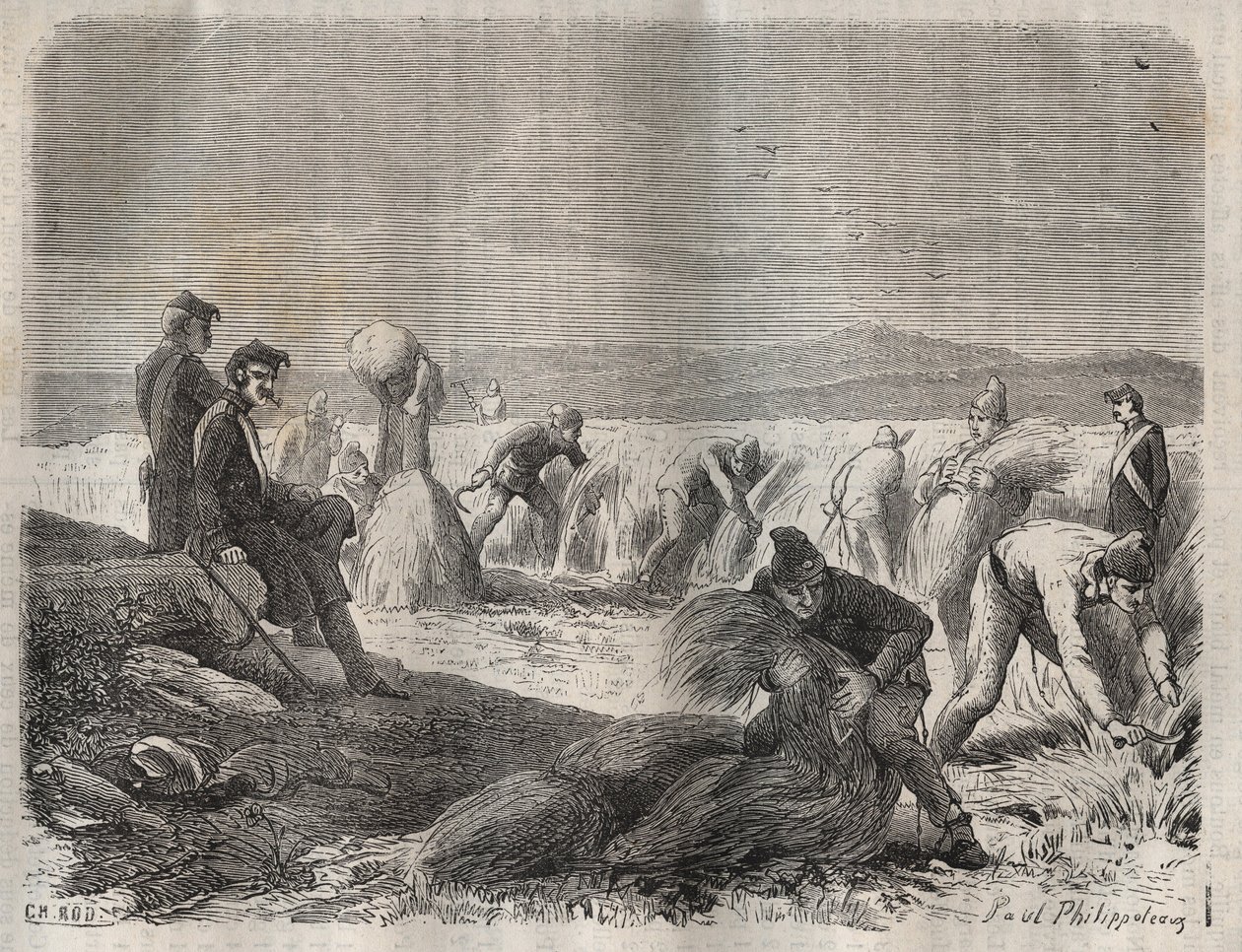 Skörda styrkor vid fängelset Belle-Ile-en-Mer (vacker ö till havs) på 1800-talet. Gravyr i "Fångarnas historia från deras skapelse till idag" (1877) av Pierre Zaccone (1817-1895) (Colonia Penale - Straffkoloni). Privat samling. av Anonymous Anonymous