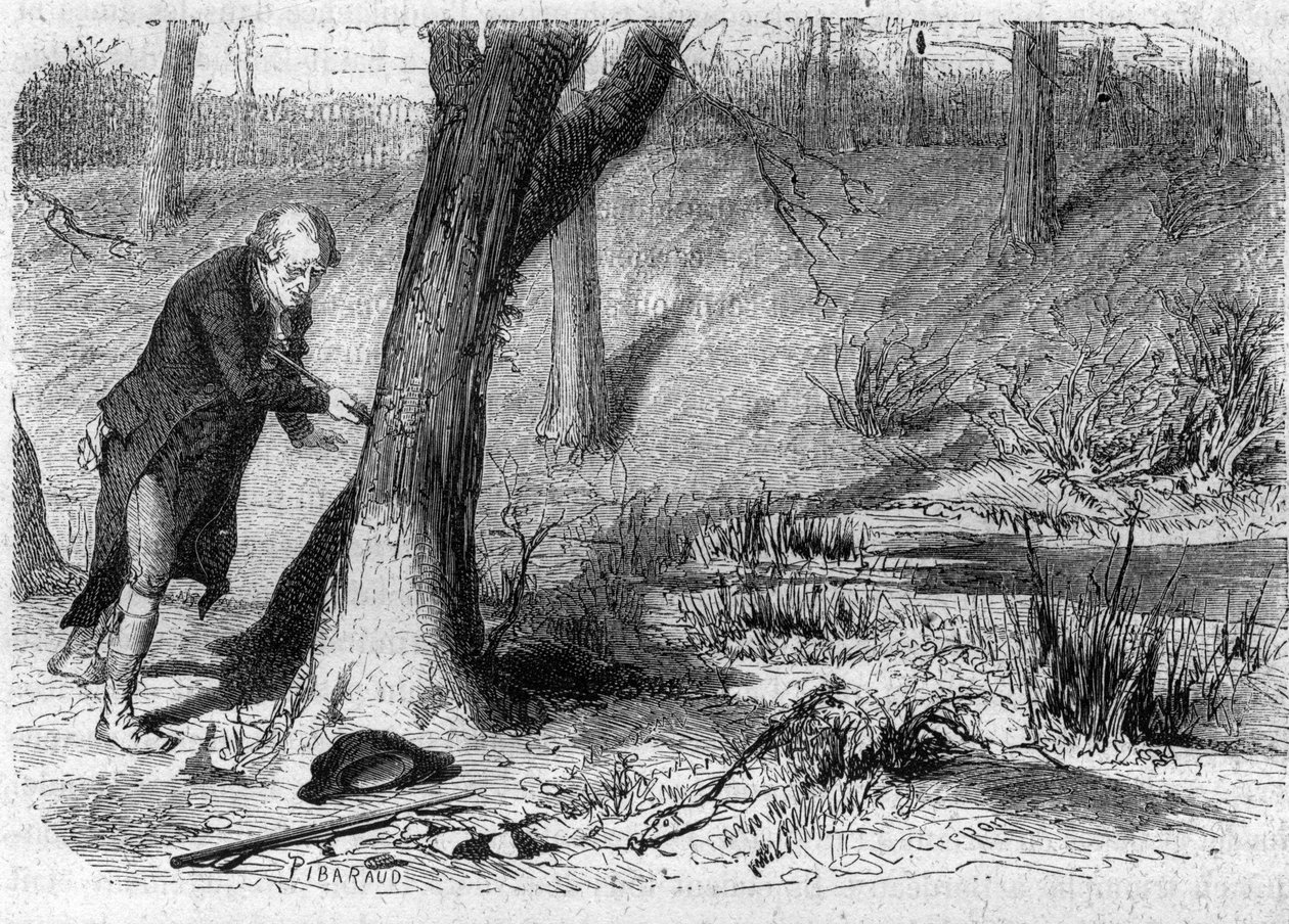 JEAN-MARIE ROLAND DE LA PLATIERE Engelsk statsman, avbildad i ögonblicket av sin självförvållade död genom att falla på sitt eget svärd - Självmord av Jean Marie Roland, Viscount de la Platiere (1734-1793) - Gravyr i "Histoire des Girondins" av Alphonse de av Anonymous Anonymous