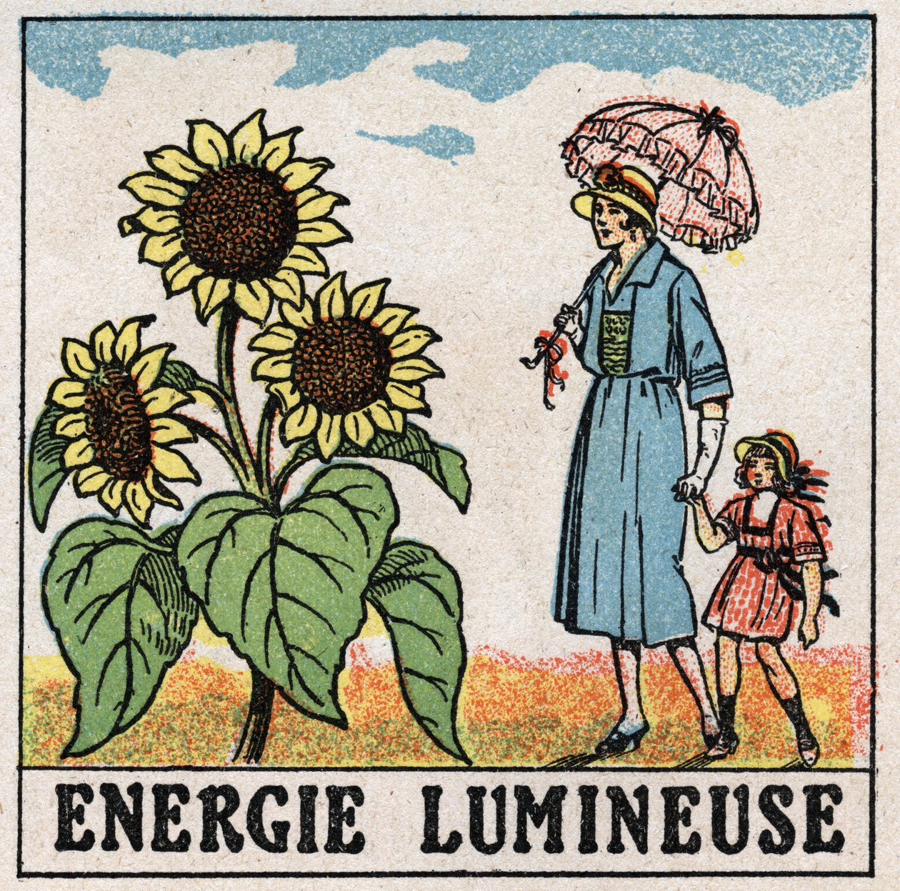 Ljusenergi: solros påverkas av solljus. Anonym illustration från 1925. Privat samling. av Anonymous Anonymous
