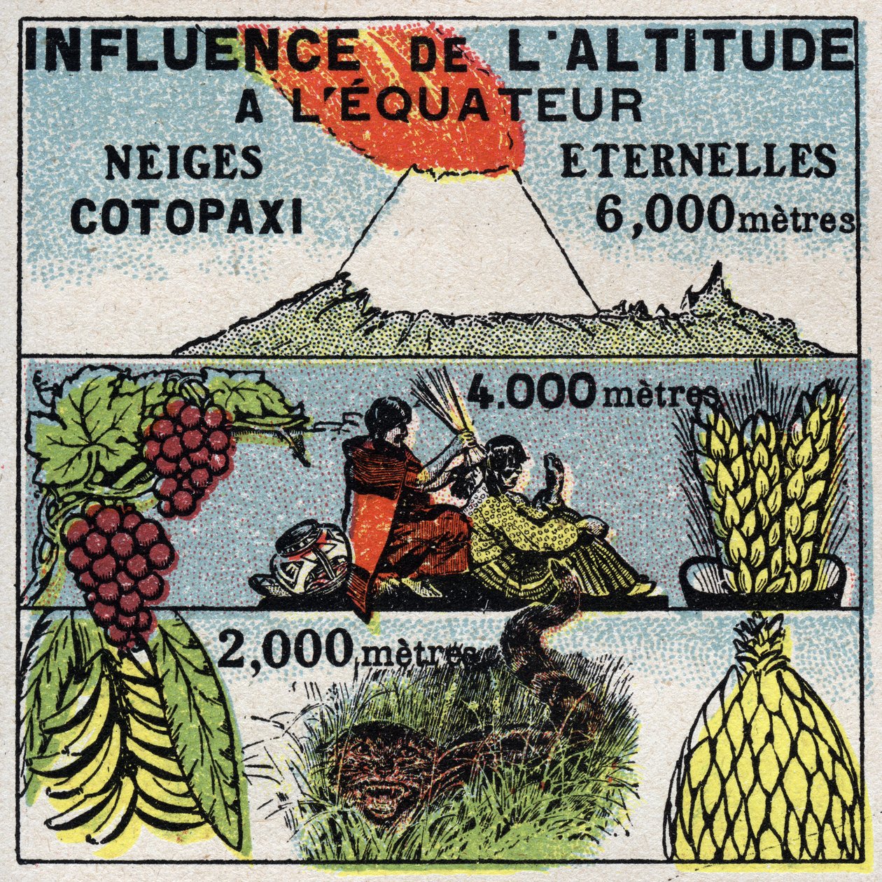 Meteorologi: höjdens inverkan på klimatet. Anonym illustration från 1925. Privat samling. av Anonymous Anonymous