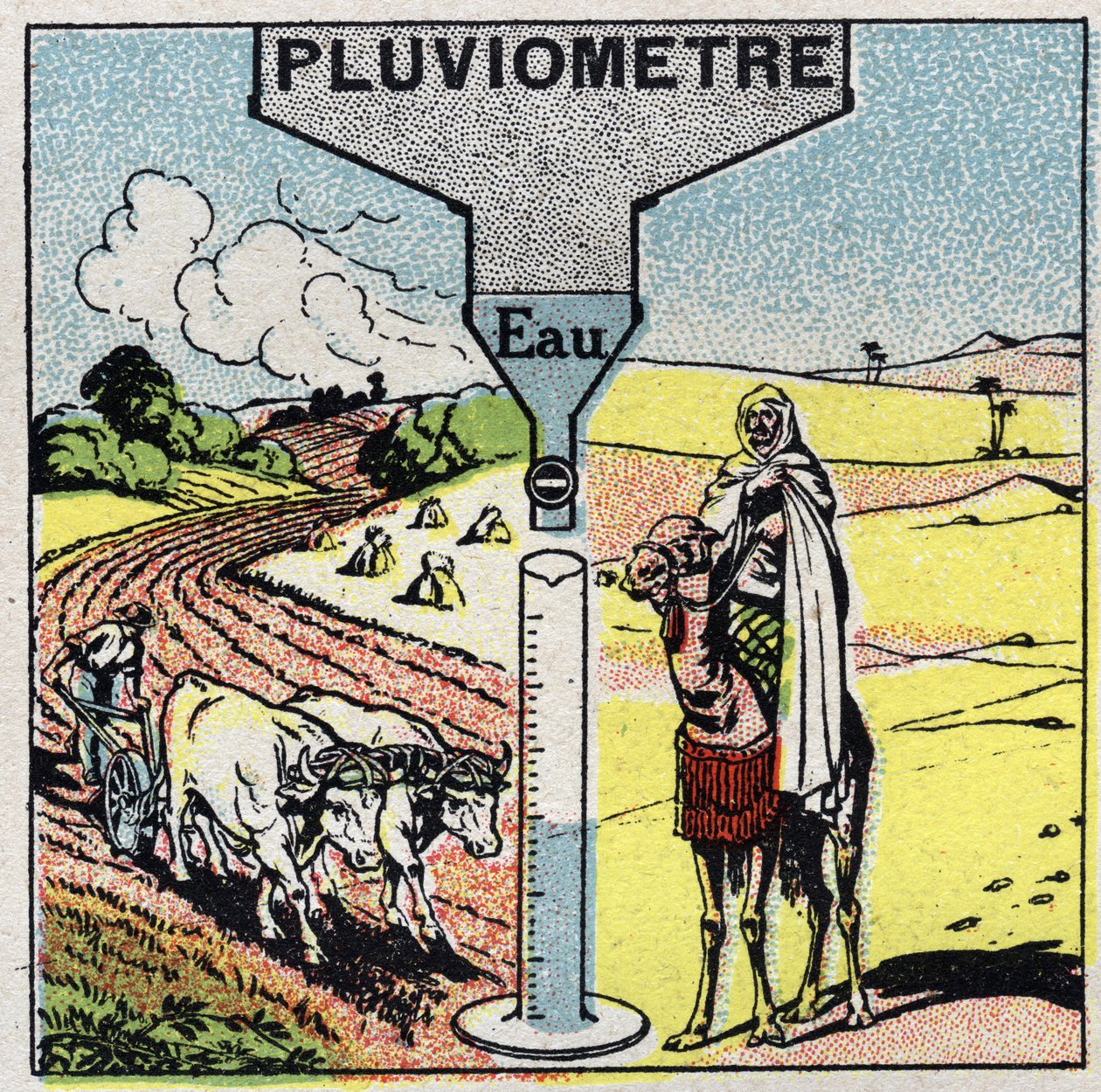 Meteorologi: regns inverkan på klimatet, användning av regn. Anonym illustration från 1925. Privat samling. av Anonymous Anonymous