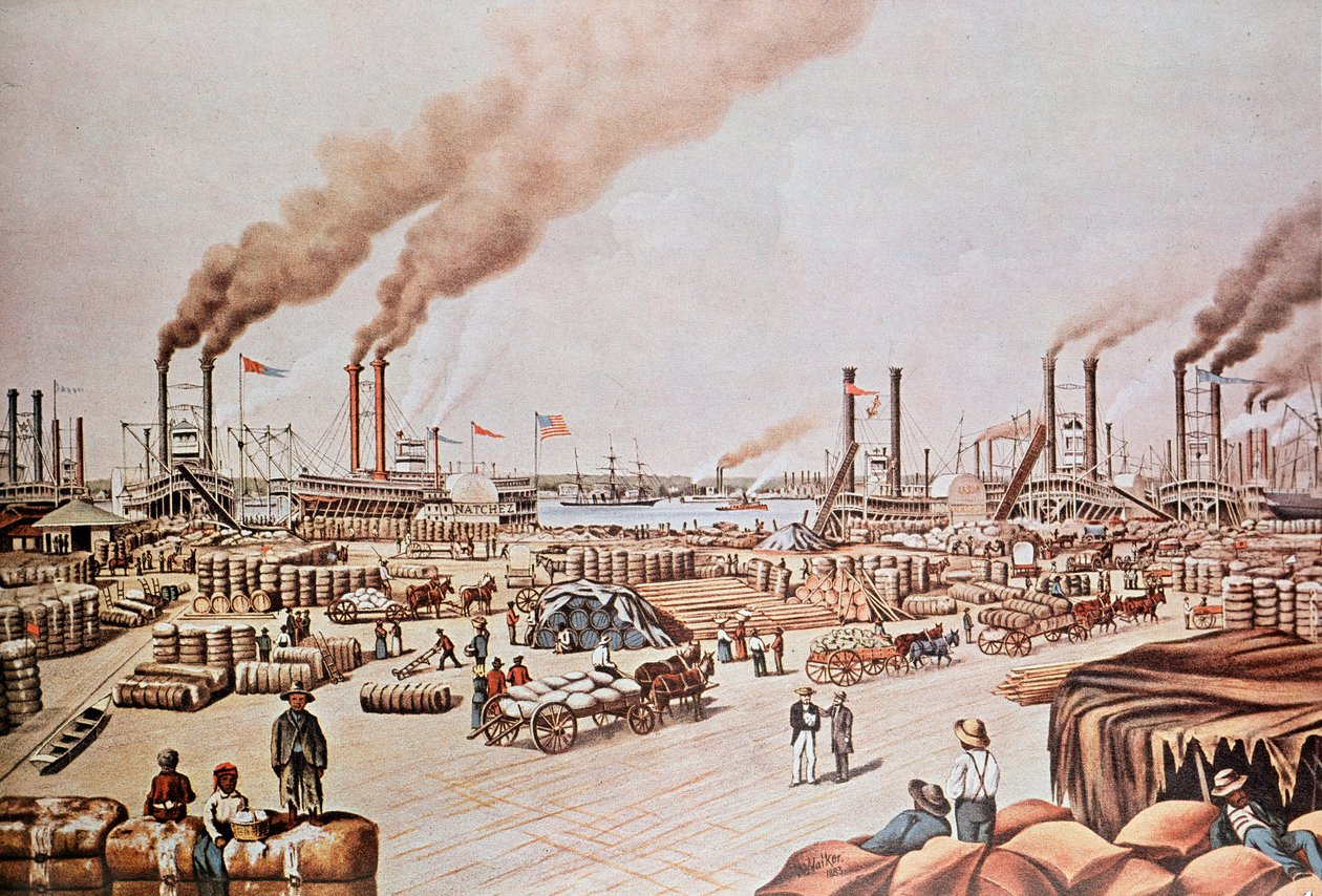 New Orleans Harbor Wharf (USA): Bomullsladdning. 1876. Privat samling. av Anonymous Anonymous