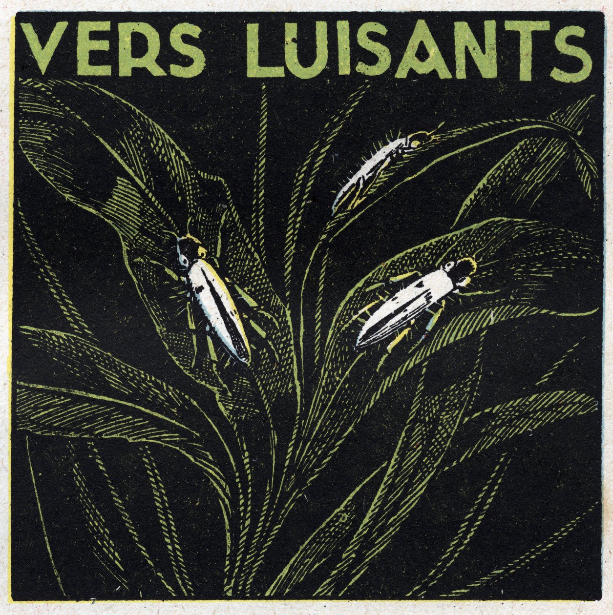 Fosforescens: glödande gröna. Anonym illustration från 1925. Privat samling. av Anonymous Anonymous