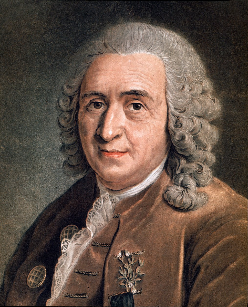 Porträtt av Charles Linne (Carl von Linne, Linneus 1707 - 1778), svensk naturforskare Anonym målning. 1700-talet. Milano, privat samling av Anonymous Anonymous