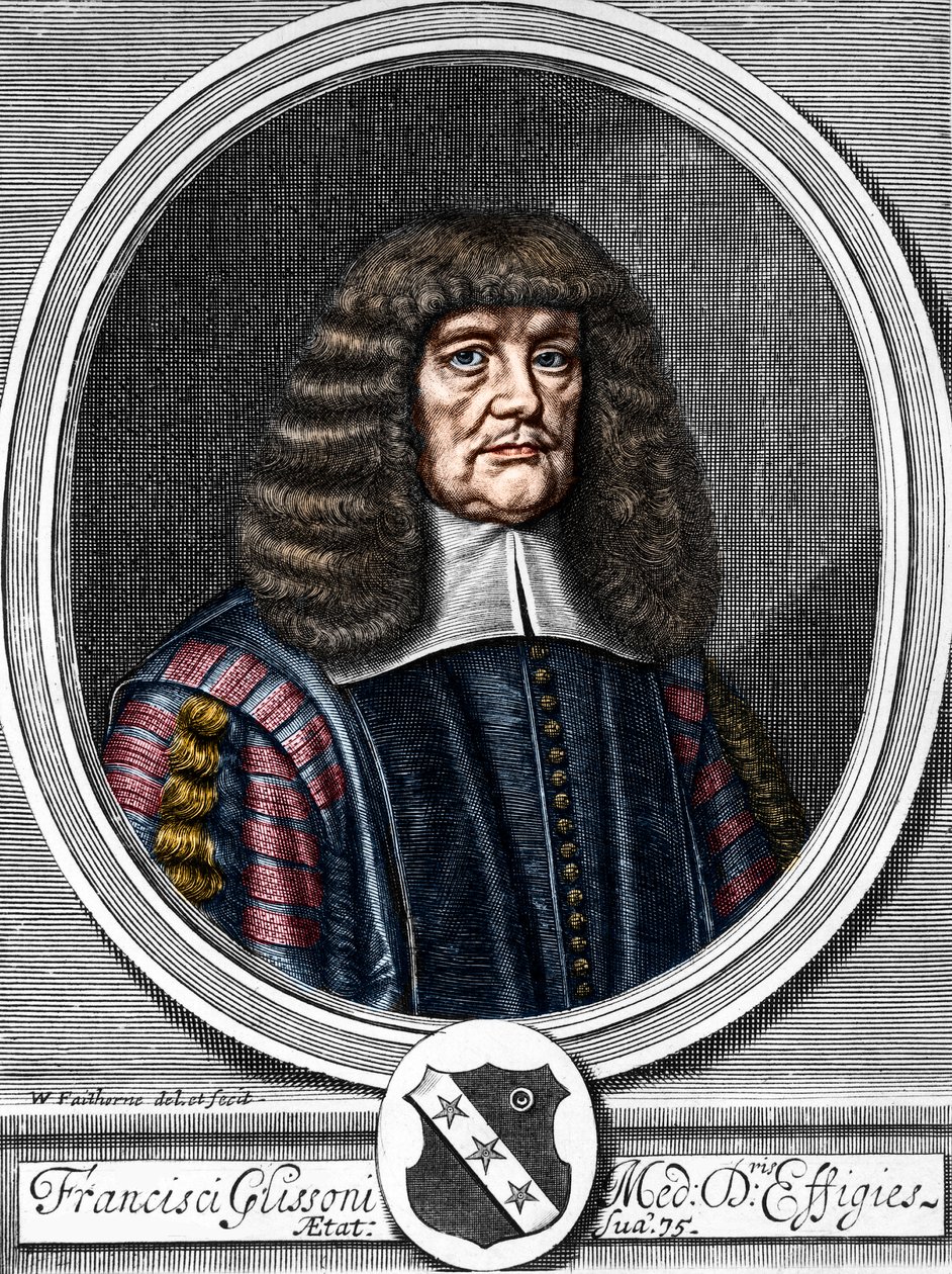 Porträtt av Francis Glisson (1599-1677), brittisk läkare, anatom. av Anonymous Anonymous