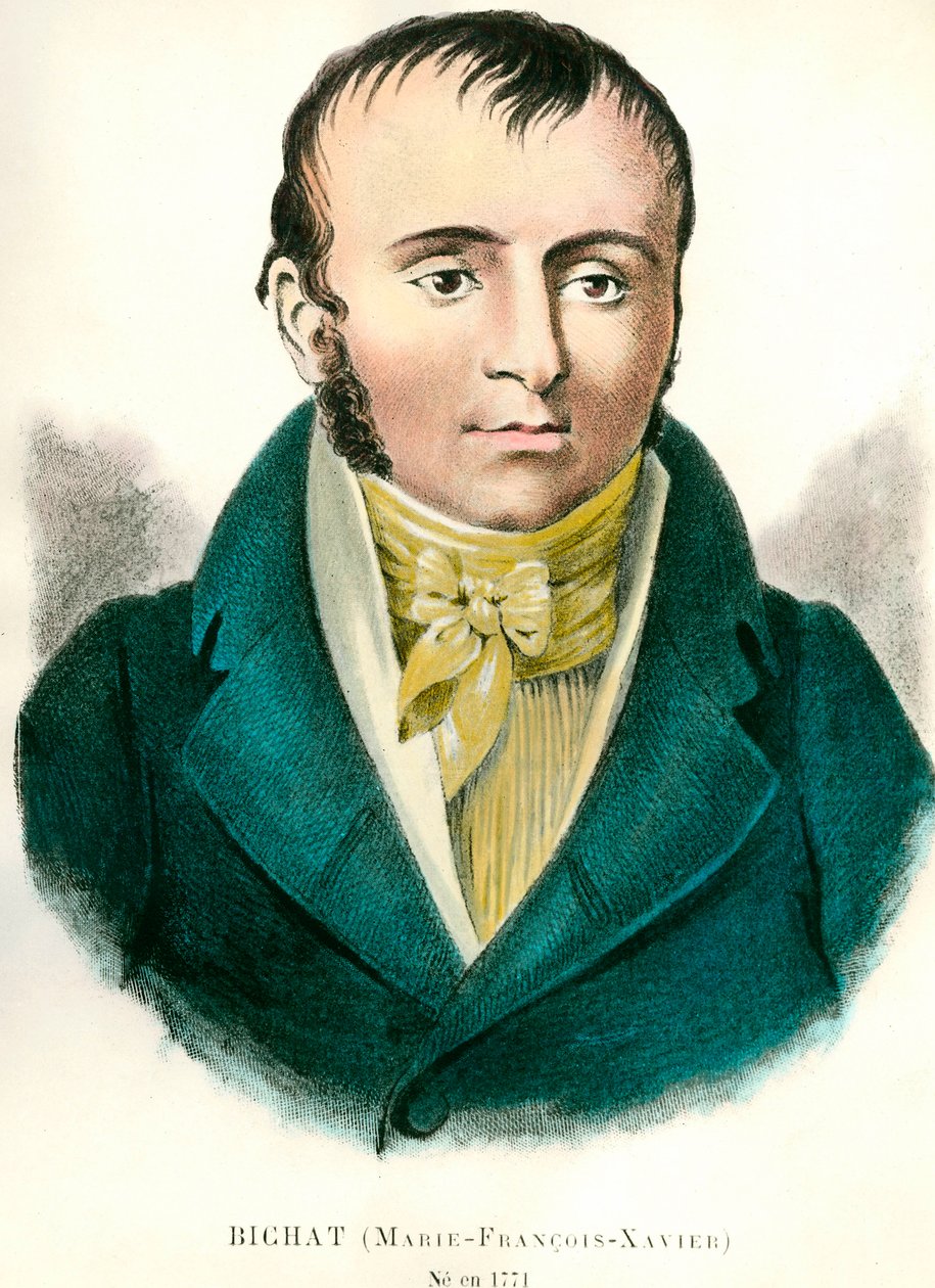 Porträtt av Francois Xavier Bichat (1771-1802), fransk läkare. Gravyr av 1800-talet. Privat samling av Anonymous Anonymous
