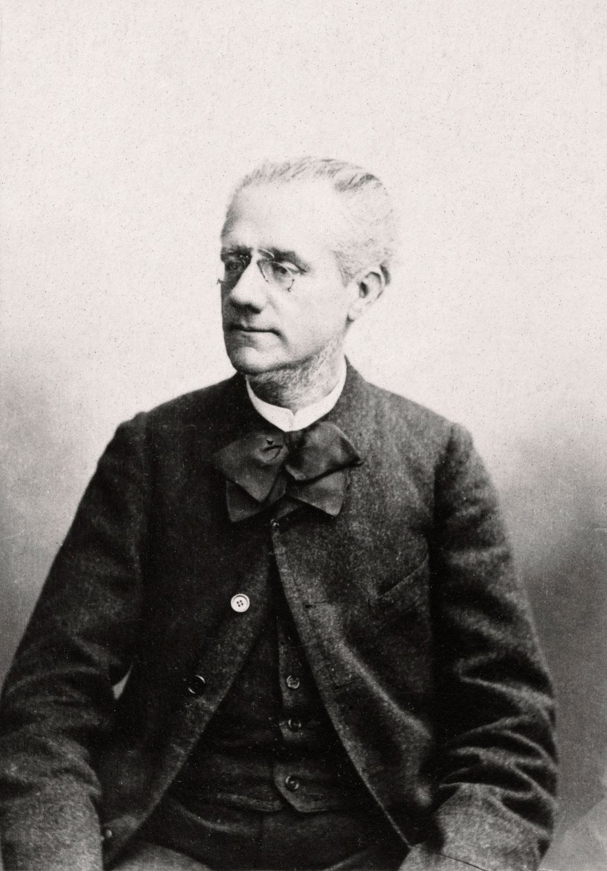 Porträtt av Louis Eugene Pouillet (1835-1905) Advokat, privat samling av Anonymous Anonymous