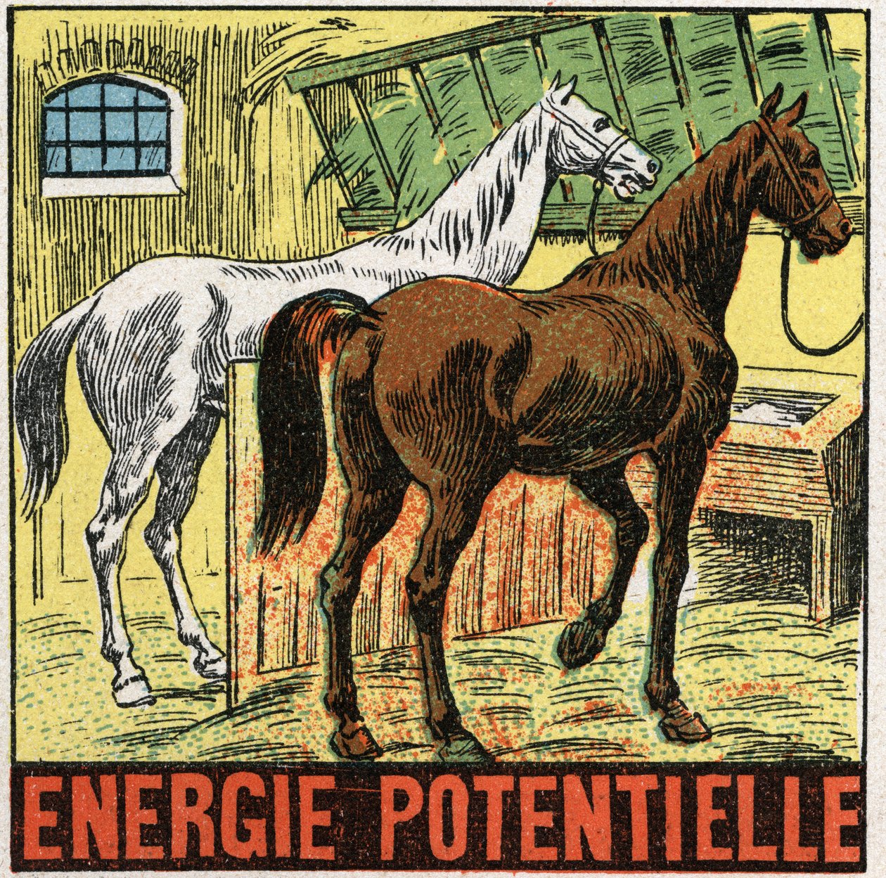 Potentiell energi: hästar som vilar i ett stall. Anonym illustration från 1925. Privat samling. av Anonymous Anonymous