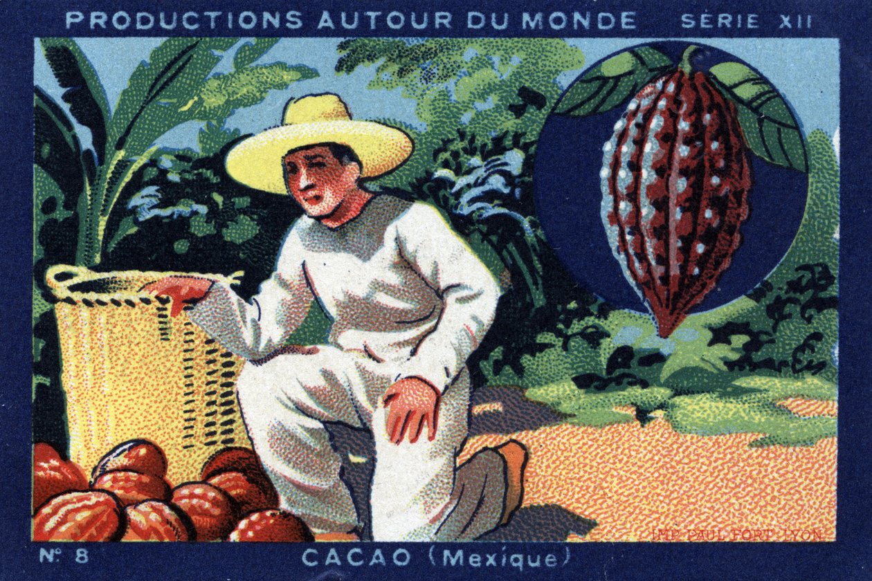 Produktioner runt om i världen: Kakao i Mexiko. Kromolitografi från 1933 i "" Joseph-Milliat Album"" av Anonymous Anonymous