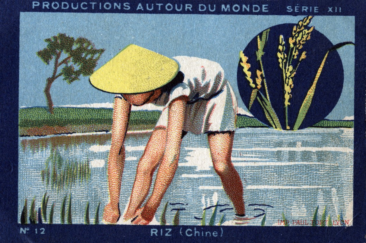 Produktioner runt om i världen: Ris i Kina. 1933 Chromolithography i "" Joseph-Milliat Album"" av Anonymous Anonymous