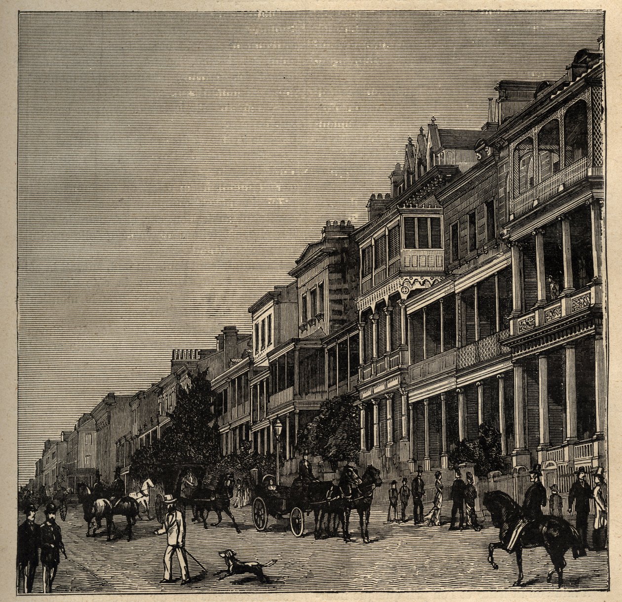 Sydney - Australien - 1890 - gravyr 1890 av Anonymous Anonymous