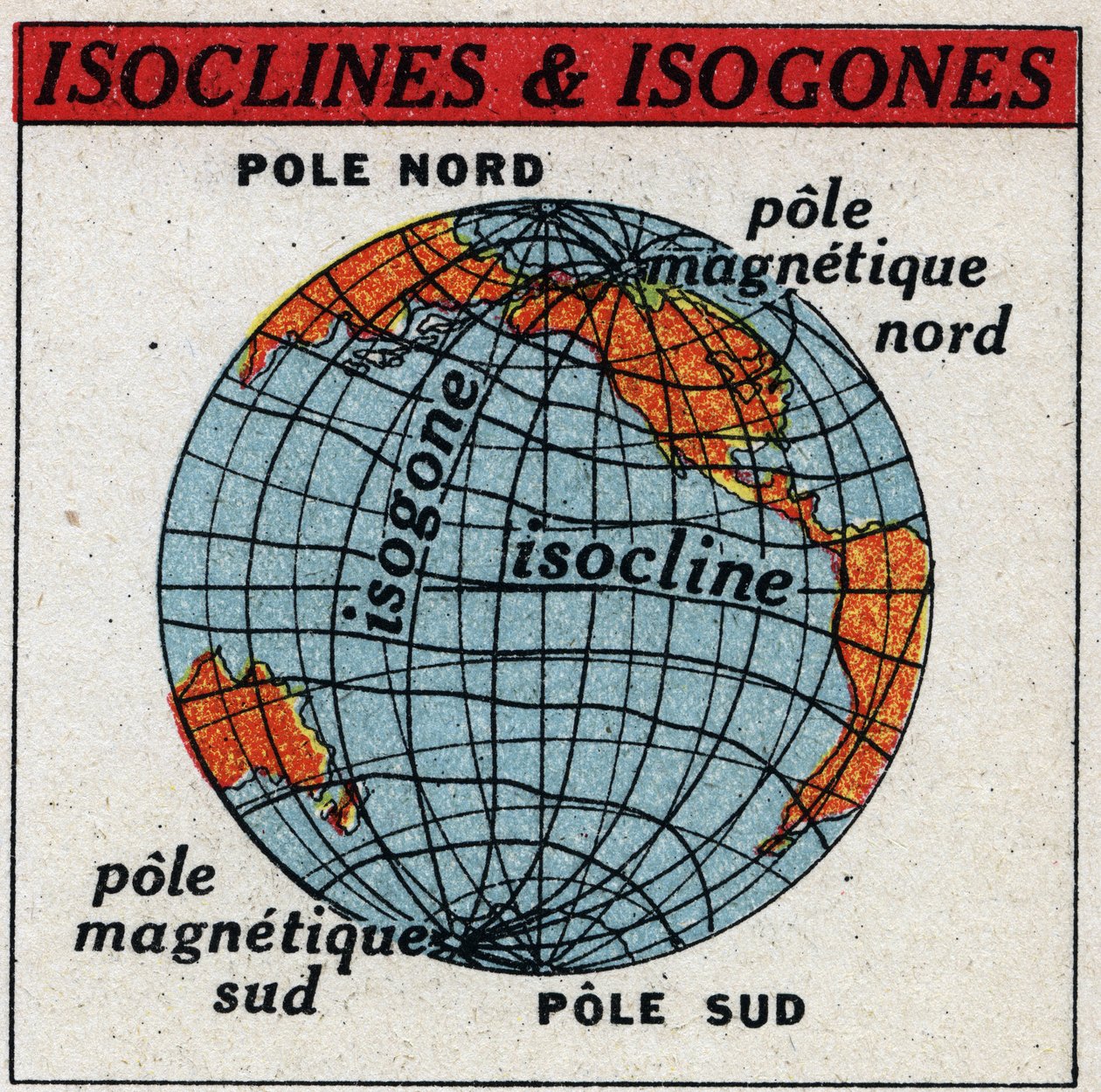 Jordbunden magnetism: Magnetisk karta som visar isokliner och isogoner. Anonym illustration från 1925. Privat samling. av Anonymous Anonymous