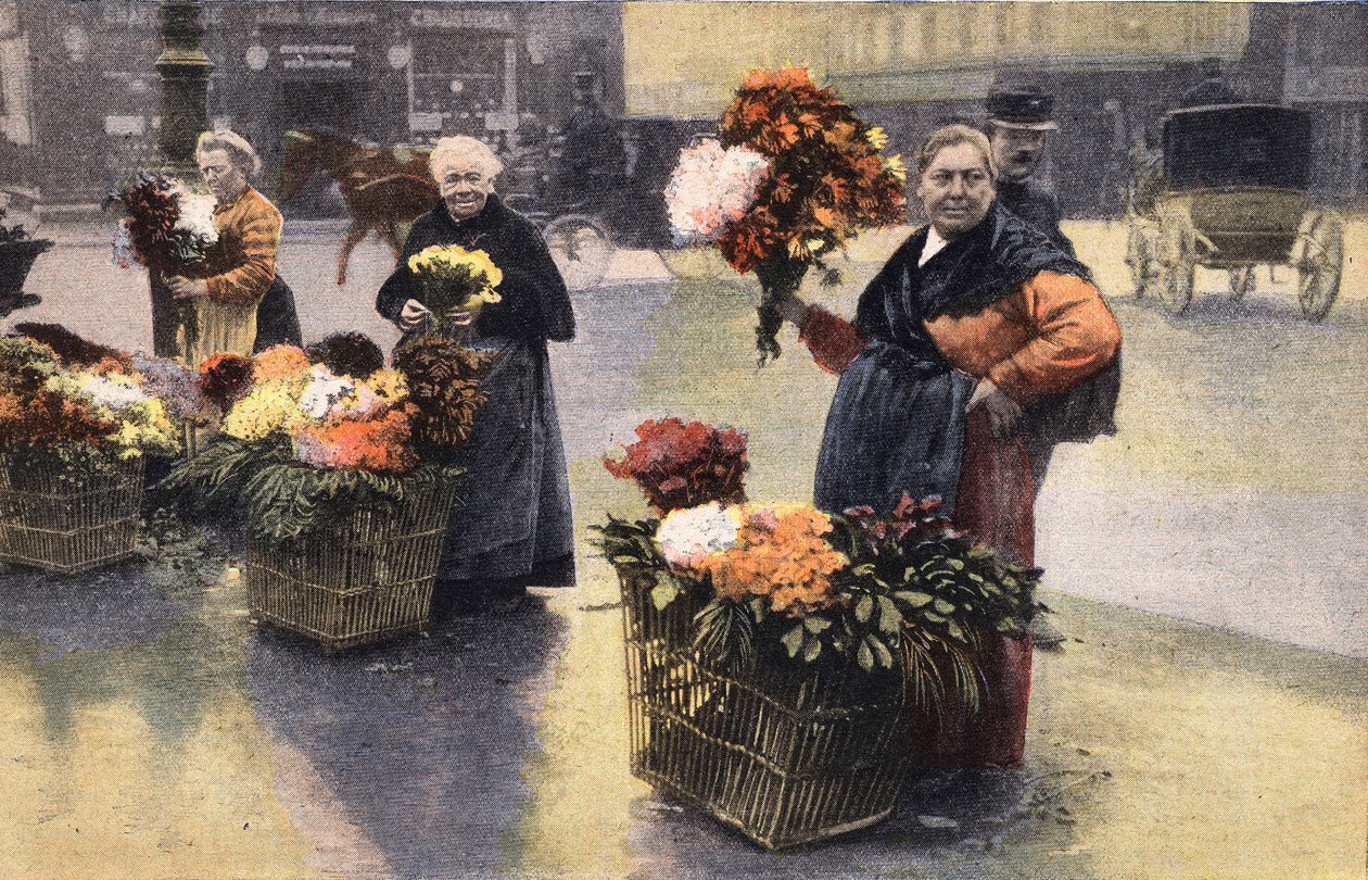 Krysantemfesten: krysantemhandlare på gatan. Gravyr. En av tidningen "" Le petit parisien"" 1910-11-20. Privat samling. av Anonymous Anonymous